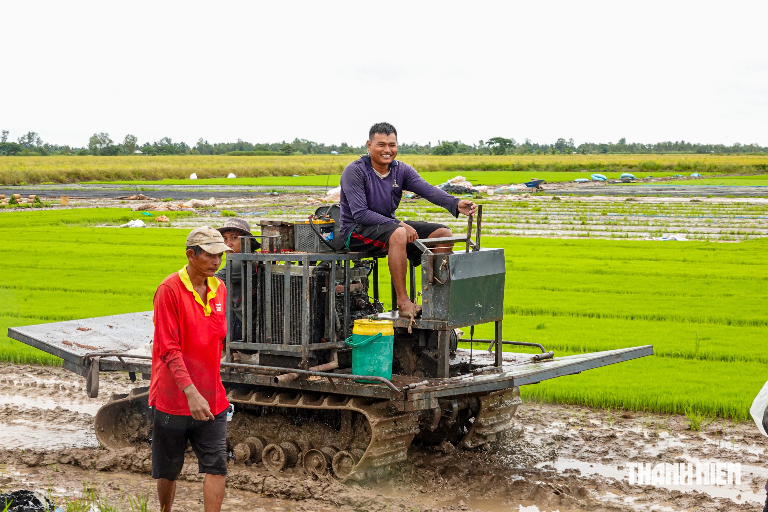 Độc đ&aacute;o nghề l&agrave;m mạ cho ruộng l&uacute;a ở miền T&acirc;y - Ảnh 7.
