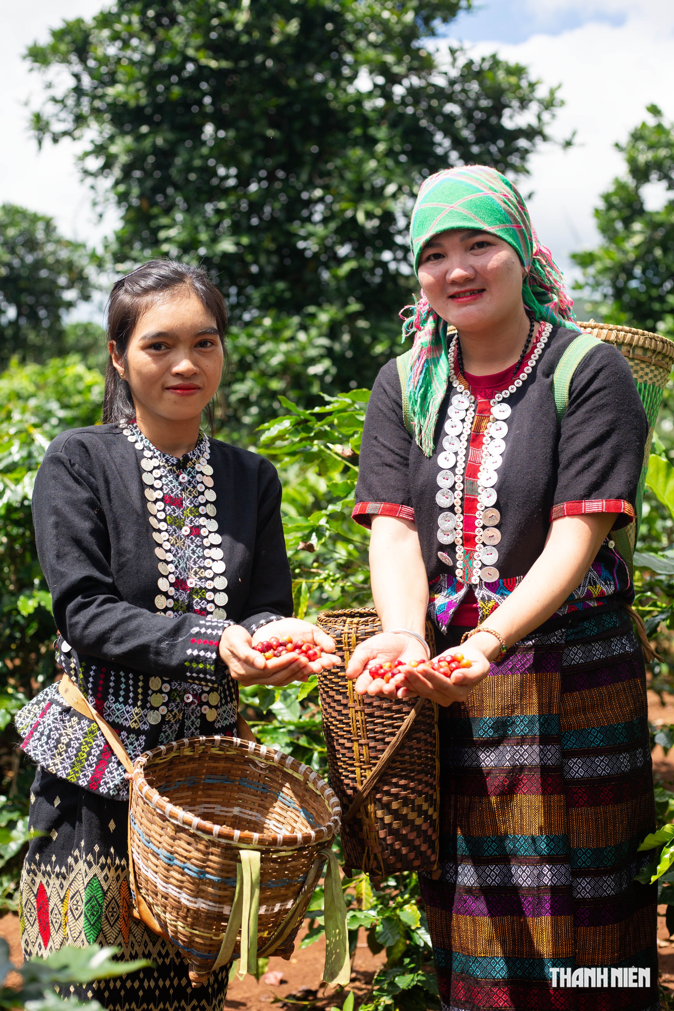 Loại hạt làm đổi thay vùng đất - Ảnh 1.