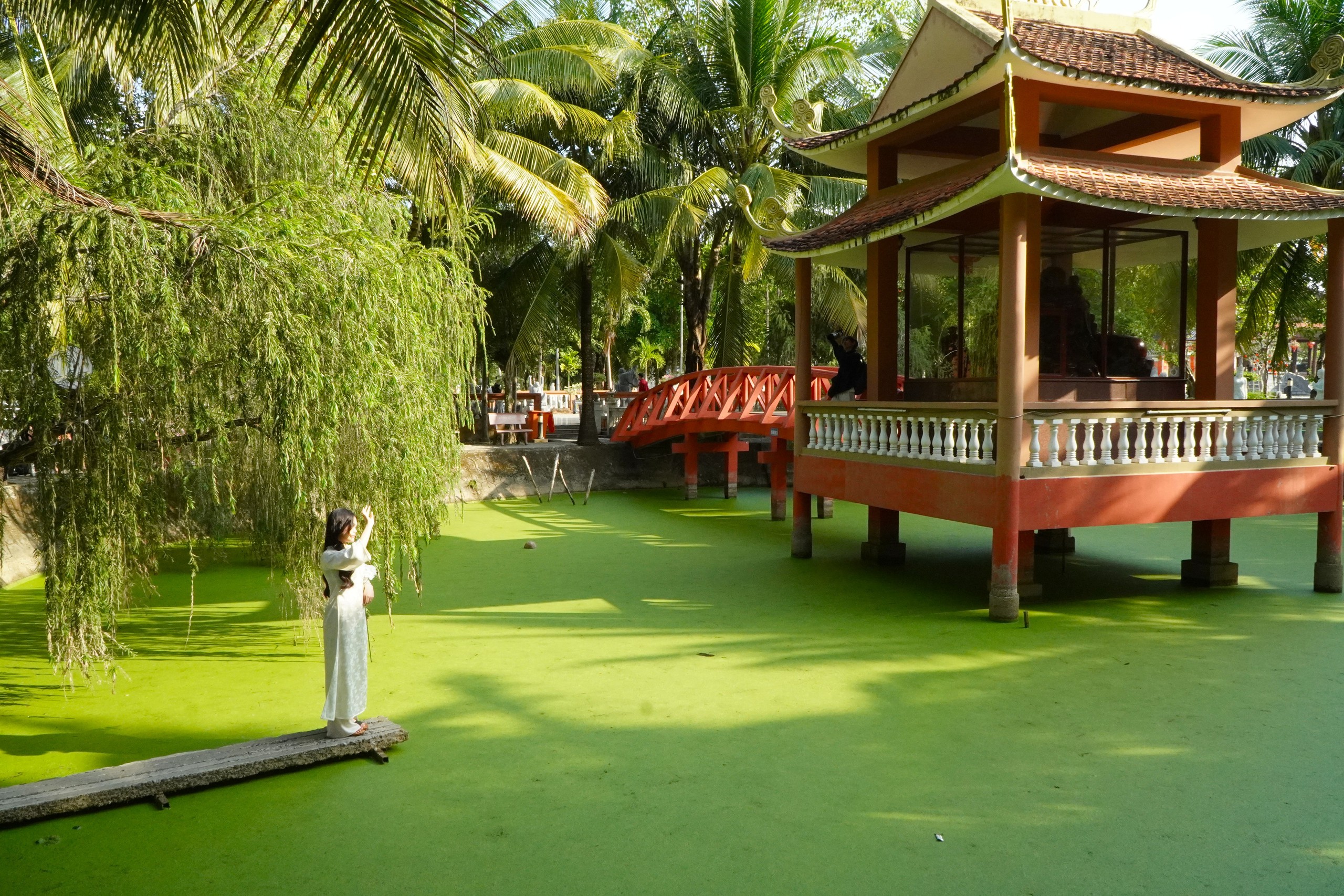 &lsquo;Phim trường ảnh tết&rsquo; thu h&uacute;t giới trẻ bậc nhất ở miền T&acirc;y- Ảnh 9.