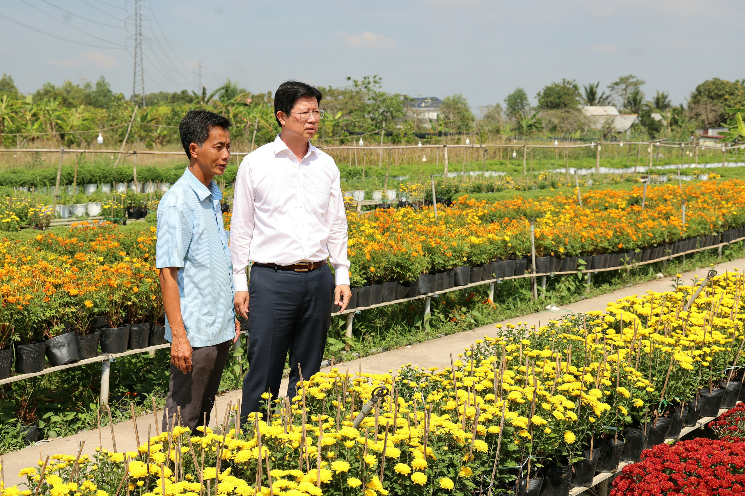 Biến vườn hoa kiểng th&agrave;nh điểm check-in, n&ocirc;ng d&acirc;n Sa Đ&eacute;c thu tiền triệu mỗi ng&agrave;y - Ảnh 4.