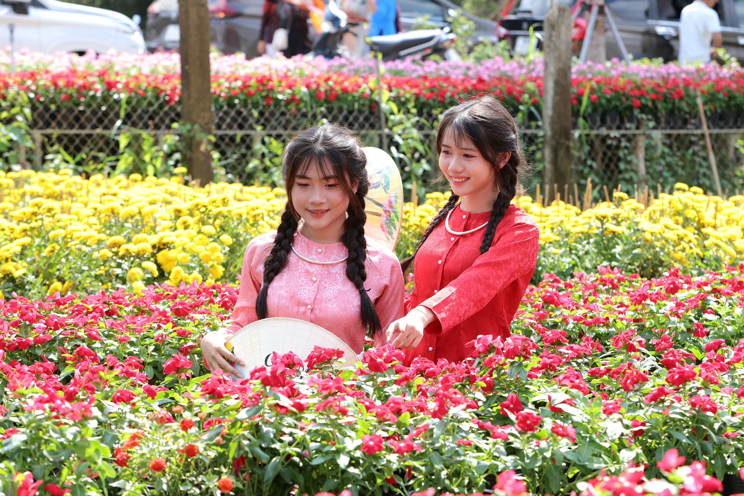 Biến vườn hoa kiểng th&agrave;nh điểm check-in, n&ocirc;ng d&acirc;n Sa Đ&eacute;c thu tiền triệu mỗi ng&agrave;y - Ảnh 8.