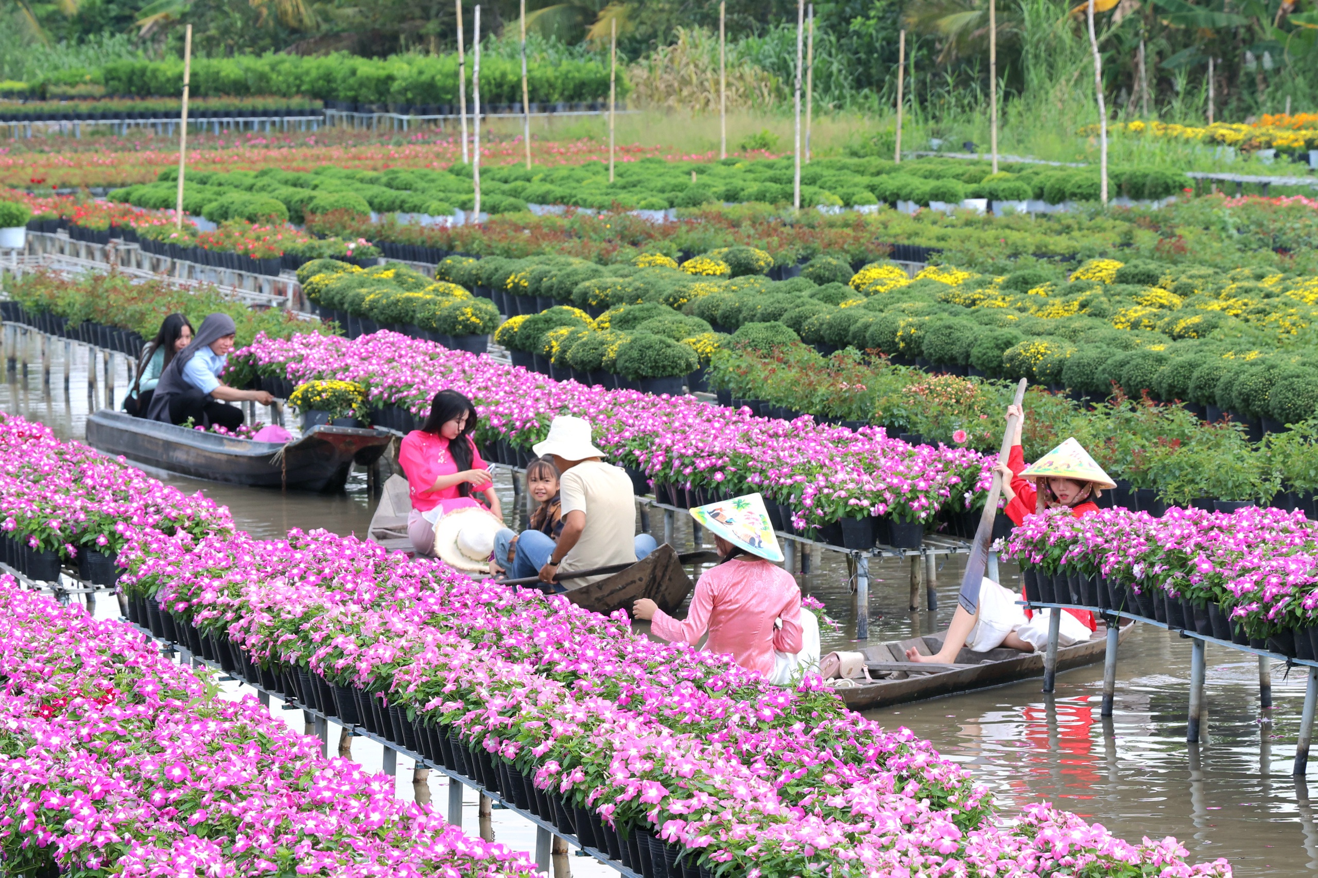 Biến vườn hoa kiểng th&agrave;nh điểm check-in, n&ocirc;ng d&acirc;n Sa Đ&eacute;c thu tiền triệu mỗi ng&agrave;y - Ảnh 3.