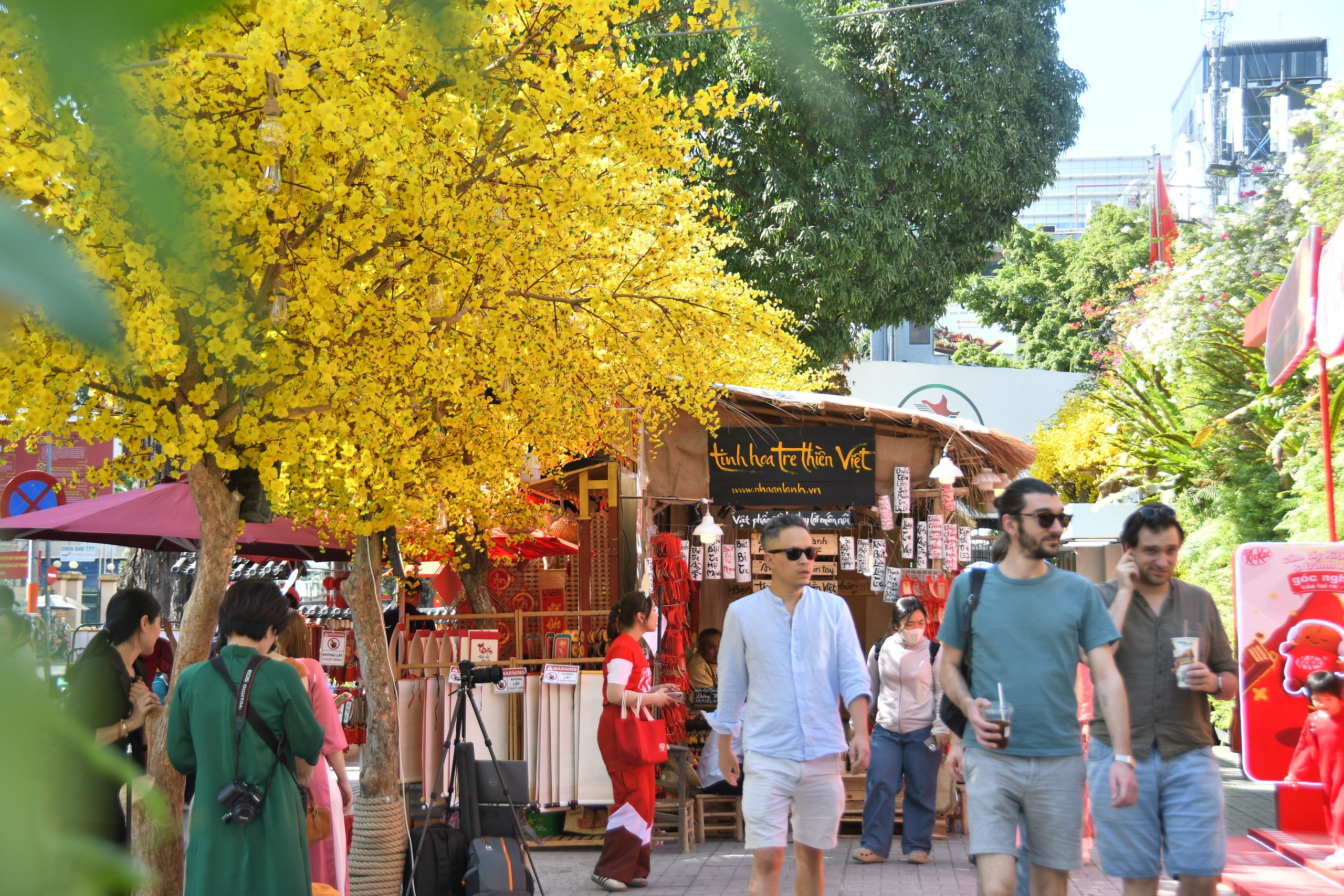 Đường mai v&agrave; d&agrave;n linh vật ngựa năm nay đẹp cỡ n&agrave;o? - Ảnh 16.