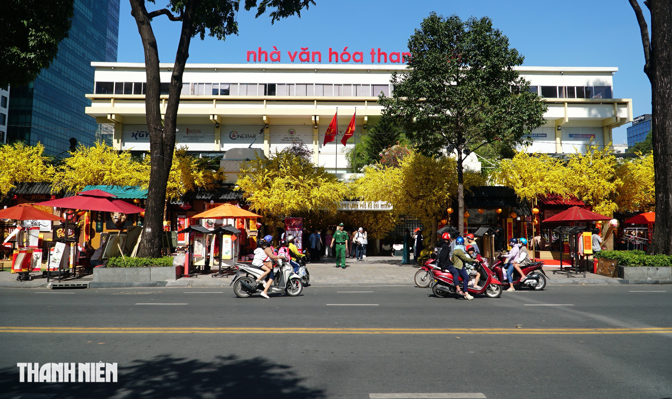 Đường mai - Phố &ocirc;ng đồ ở TP.HCM rực rỡ trước giờ mở cửa ch&iacute;nh thức  - Ảnh 1.