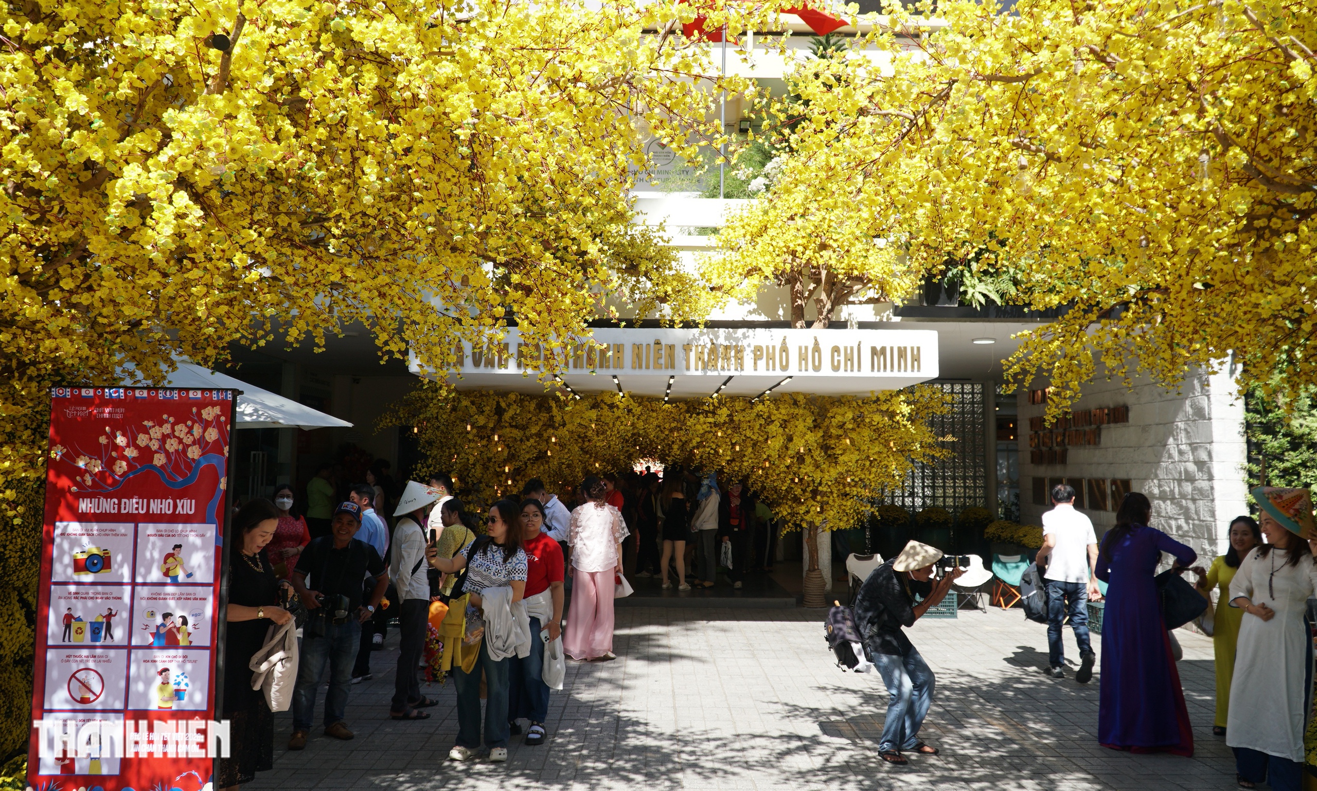 Đường mai - Phố &ocirc;ng đồ ở TP.HCM rực rỡ trước giờ mở cửa ch&iacute;nh thức  - Ảnh 4.