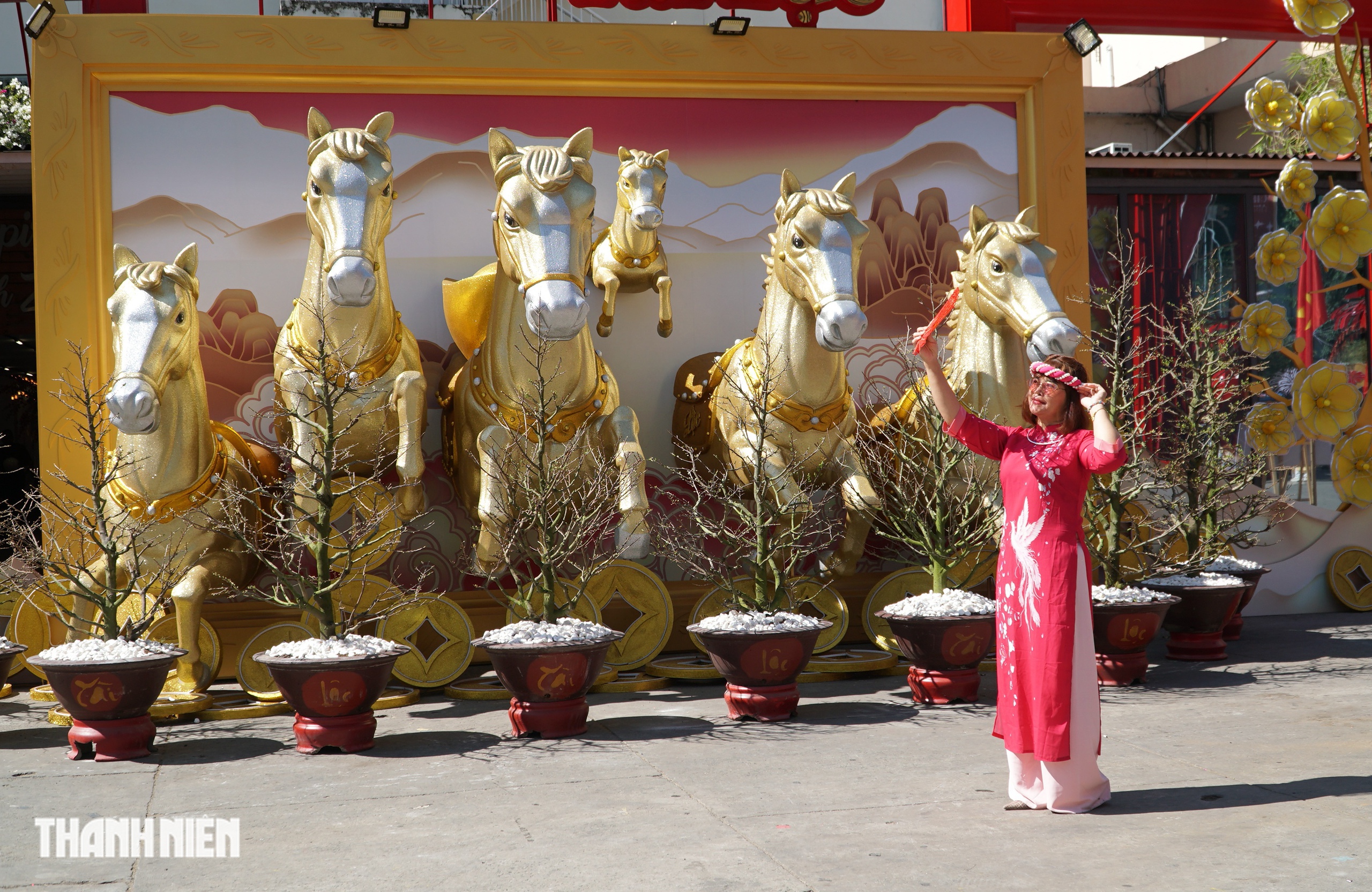 Đường mai - Phố &ocirc;ng đồ ở TP.HCM rực rỡ trước giờ mở cửa ch&iacute;nh thức  - Ảnh 12.