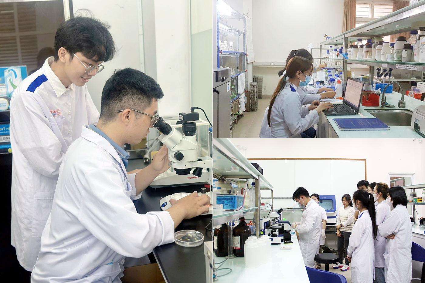 ĐH Duy Tân đào tạo các ngành Điều dưỡng, Kỹ thuật Xét nghiệm và Kỹ thuật Y sinh- Ảnh 6.