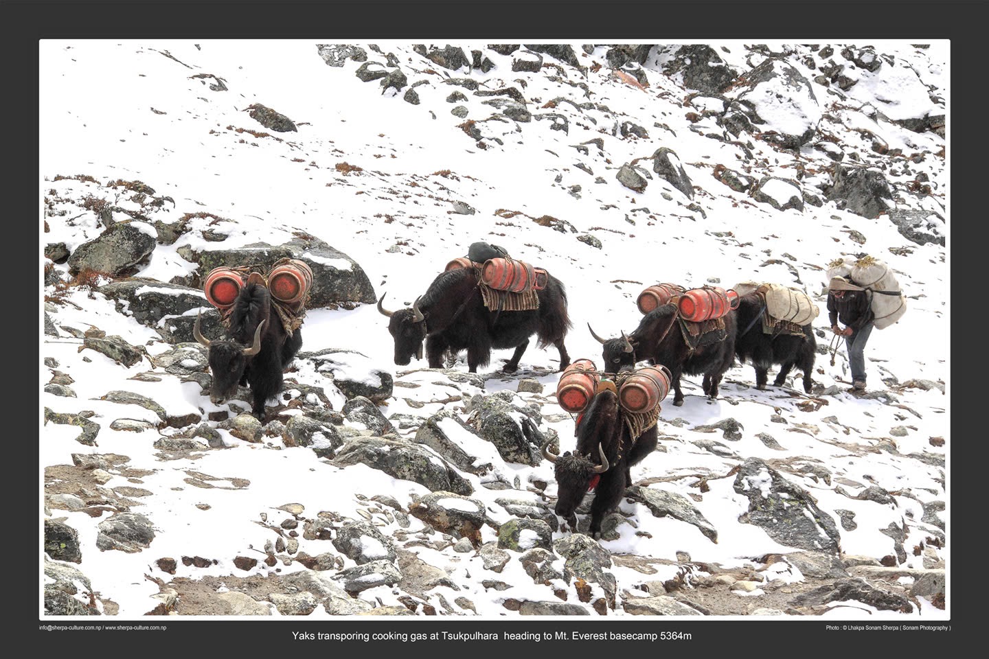 Kh&ocirc;ng check-in, kh&ocirc;ng nghỉ dưỡng: V&igrave; sao nhiều người Việt chi trăm triệu t&igrave;m đến Himalaya?- Ảnh 2.
