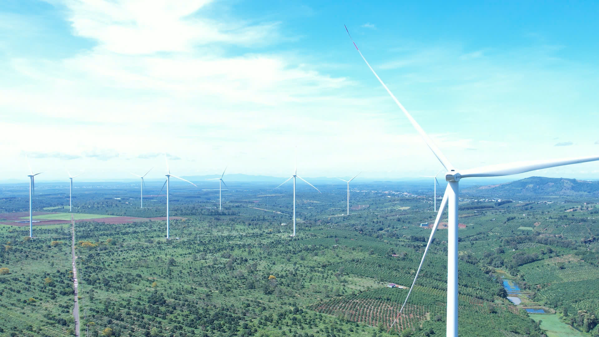 - Ảnh 2. - Ảnh 2.