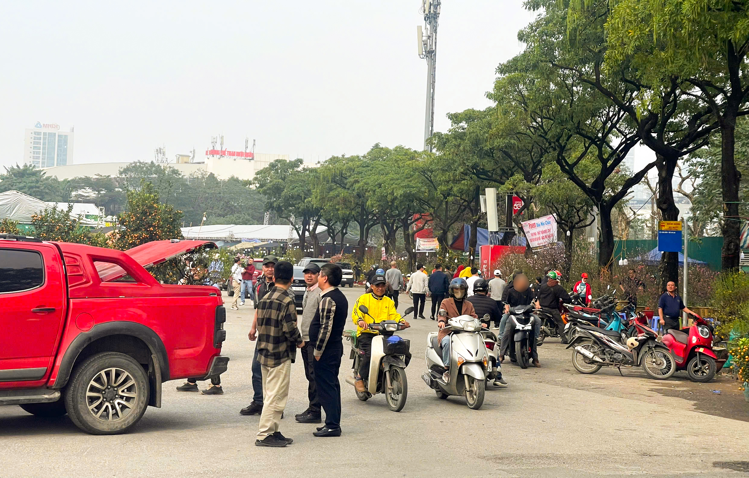 Tiểu thương b&aacute;n quất tết bắt đầu xả h&agrave;ng, b&aacute;n đồng gi&aacute; để cắt lỗ- Ảnh 1.