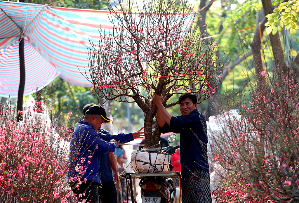 Nhà vườn chờ sức mua khởi sắc cận tết- Ảnh 1.