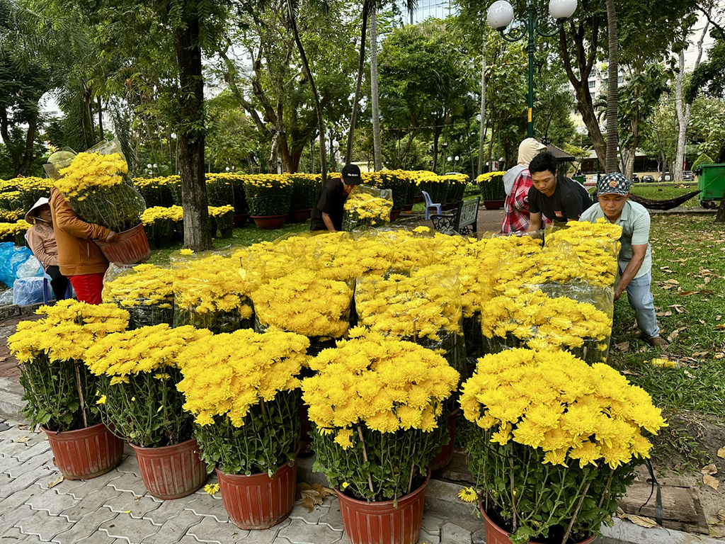 Nhà vườn chờ sức mua khởi sắc cận tết- Ảnh 3.