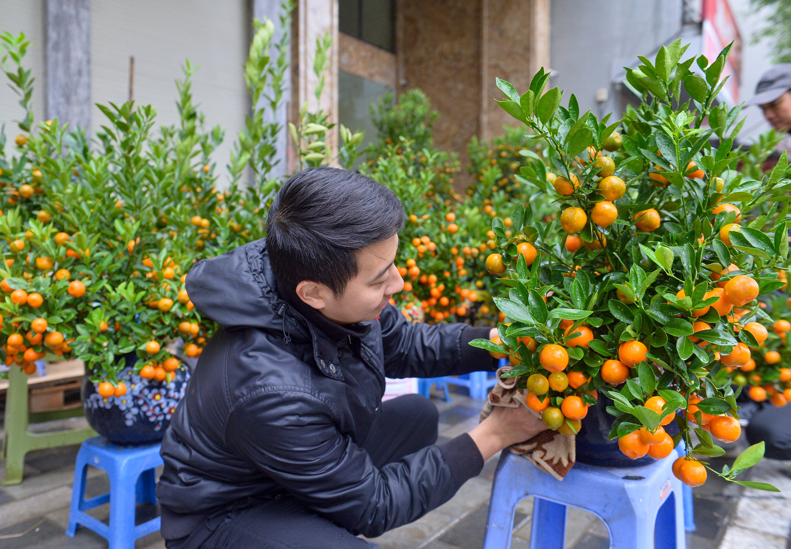 Tiểu thương bán quất tết bắt đầu xả hàng, bán đồng giá để cắt lỗ- Ảnh 5.