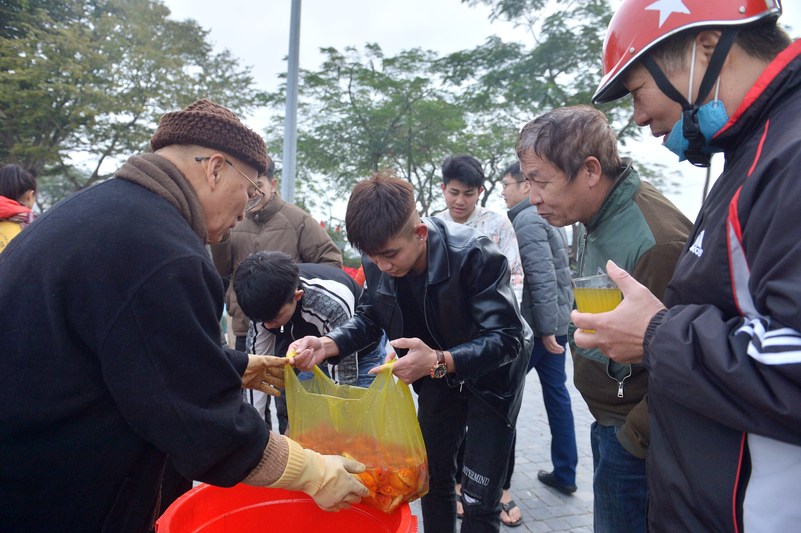 Người H&agrave; Nội thả c&aacute; ch&eacute;p 'khổng lồ', đưa T&aacute;o qu&acirc;n về trời- Ảnh 2.