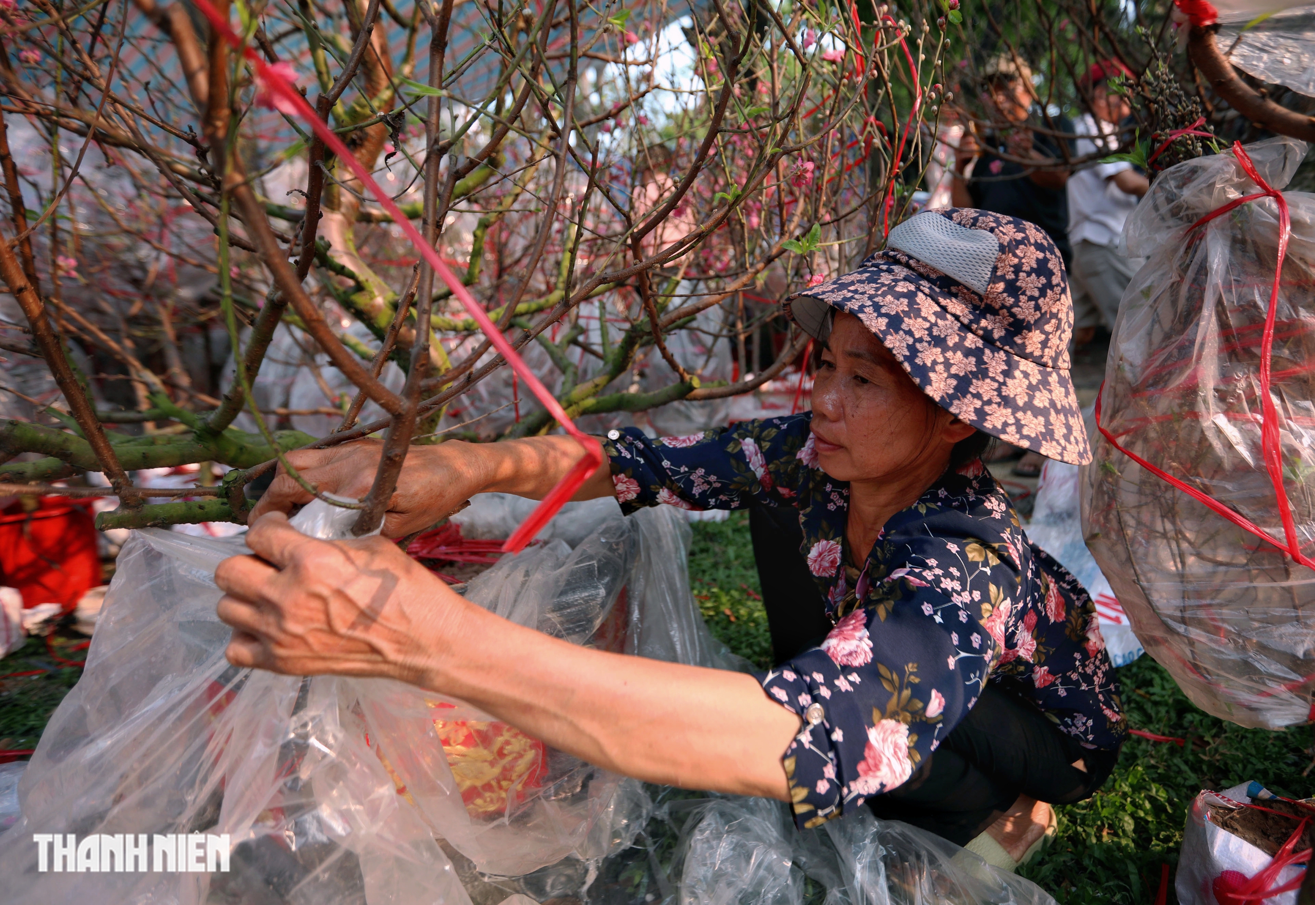 Chợ hoa đ&agrave;o lớn nhất TP.HCM - Ảnh 14.