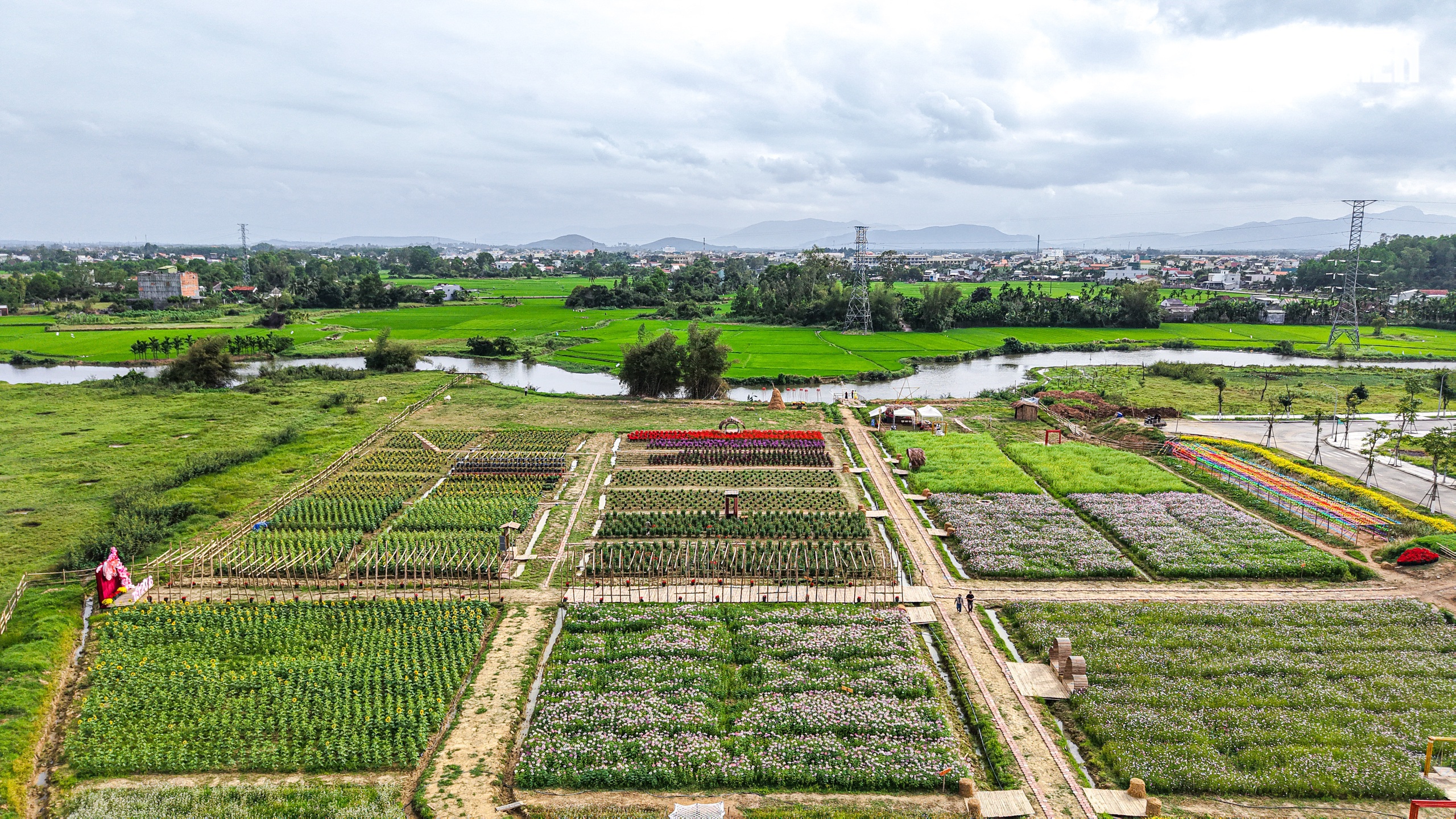 Một g&oacute;c H&agrave; Giang giữa l&ograve;ng Quảng Ng&atilde;i- Ảnh 6.