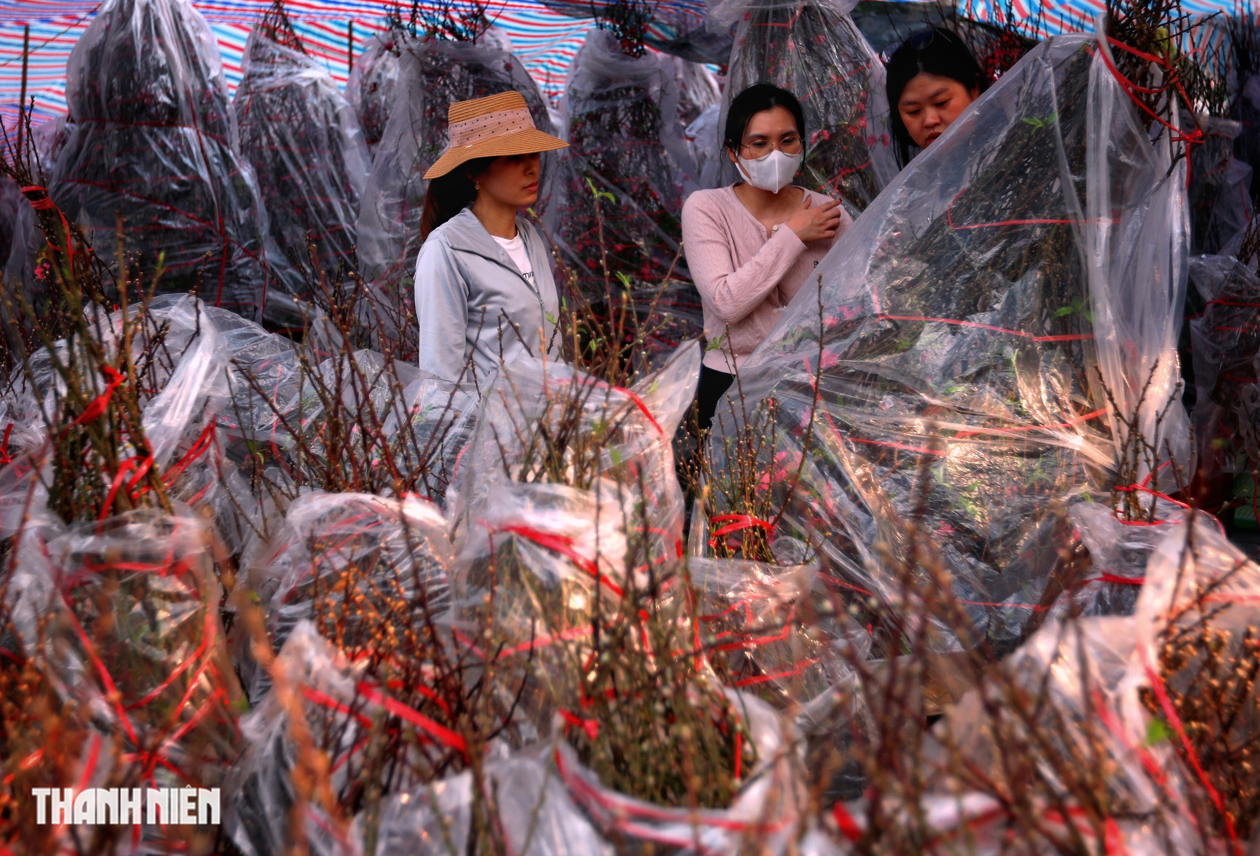 Chợ hoa đ&agrave;o lớn nhất TP.HCM - Ảnh 5.