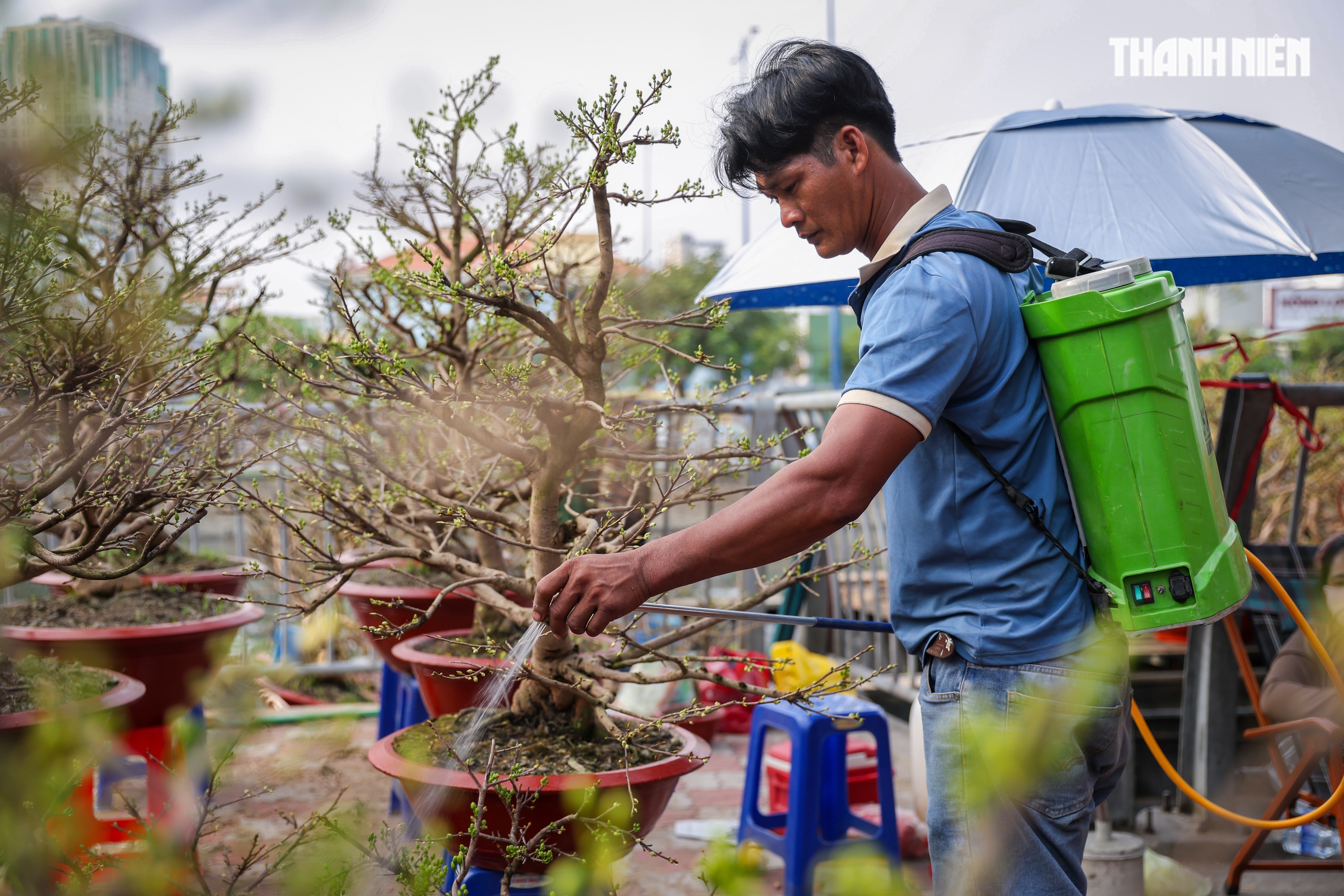 Thuyền ghe chở hoa miền T&acirc;y nối d&ograve;ng cập bến 'Tr&ecirc;n bến dưới thuyền' - Ảnh 14.