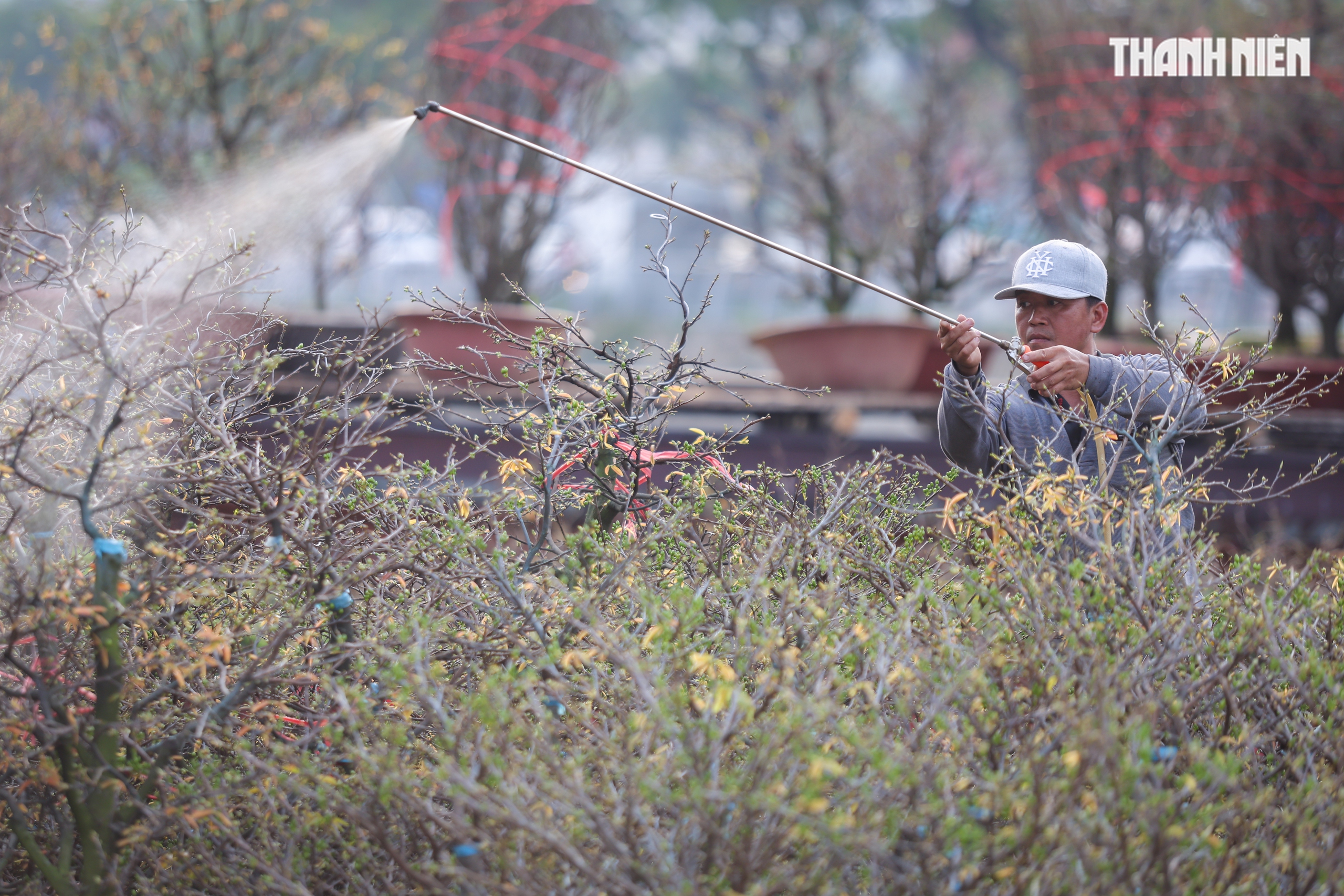 Thuyền ghe chở hoa miền T&acirc;y nối d&ograve;ng cập bến 'Tr&ecirc;n bến dưới thuyền' - Ảnh 10.