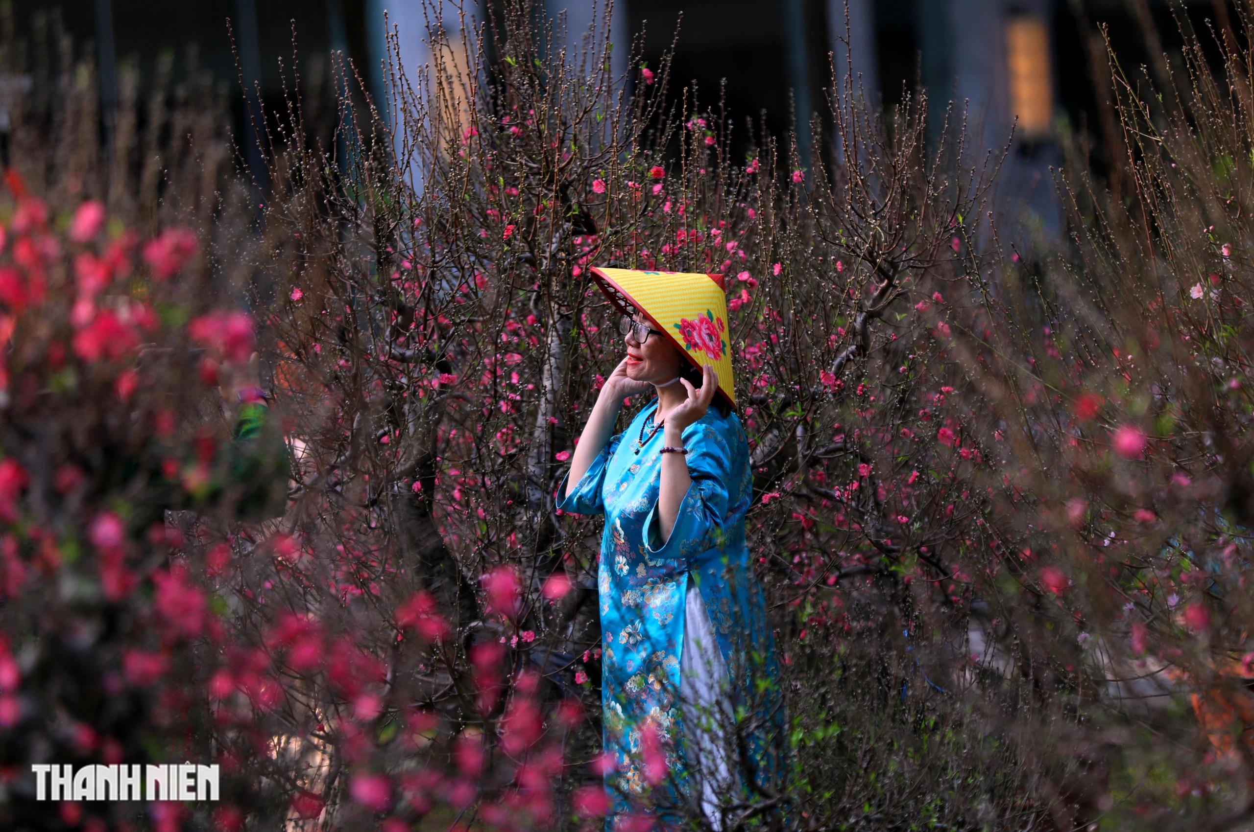 Chợ hoa đ&agrave;o lớn nhất TP.HCM - Ảnh 18.