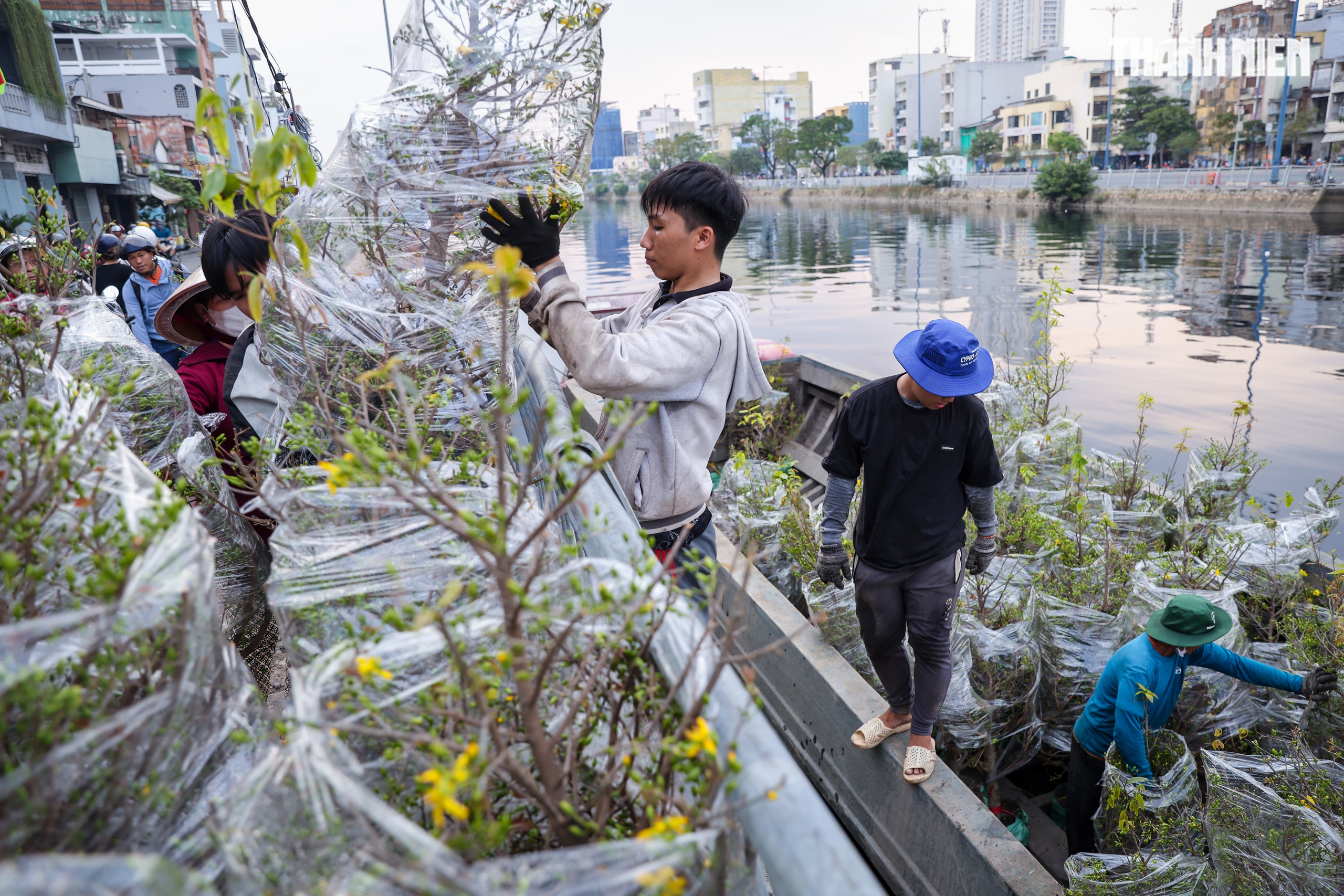 Thuyền ghe chở hoa miền T&acirc;y nối d&ograve;ng cập bến 'Tr&ecirc;n bến dưới thuyền' - Ảnh 3.
