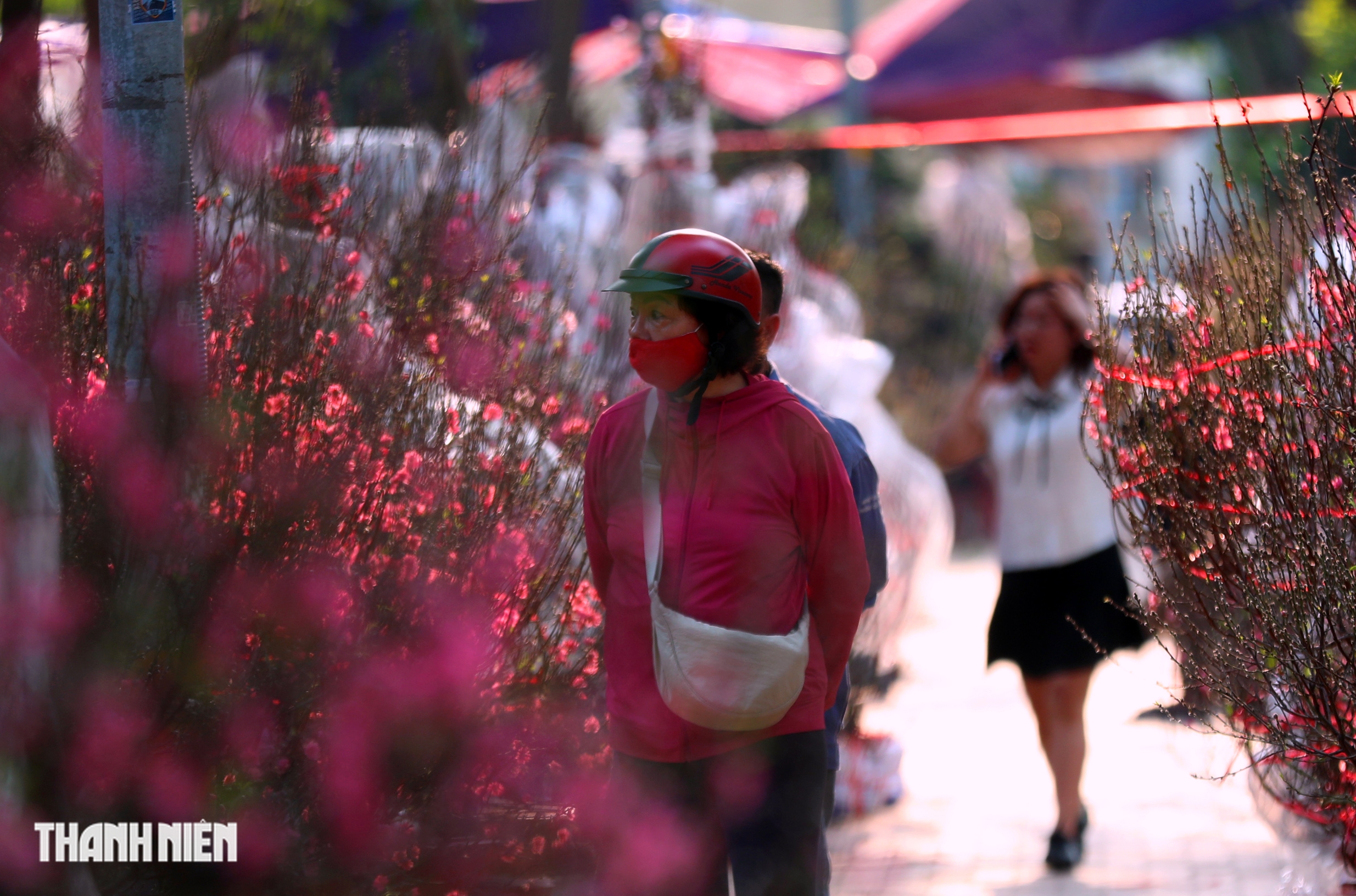 Chợ hoa đ&agrave;o lớn nhất TP.HCM - Ảnh 2.