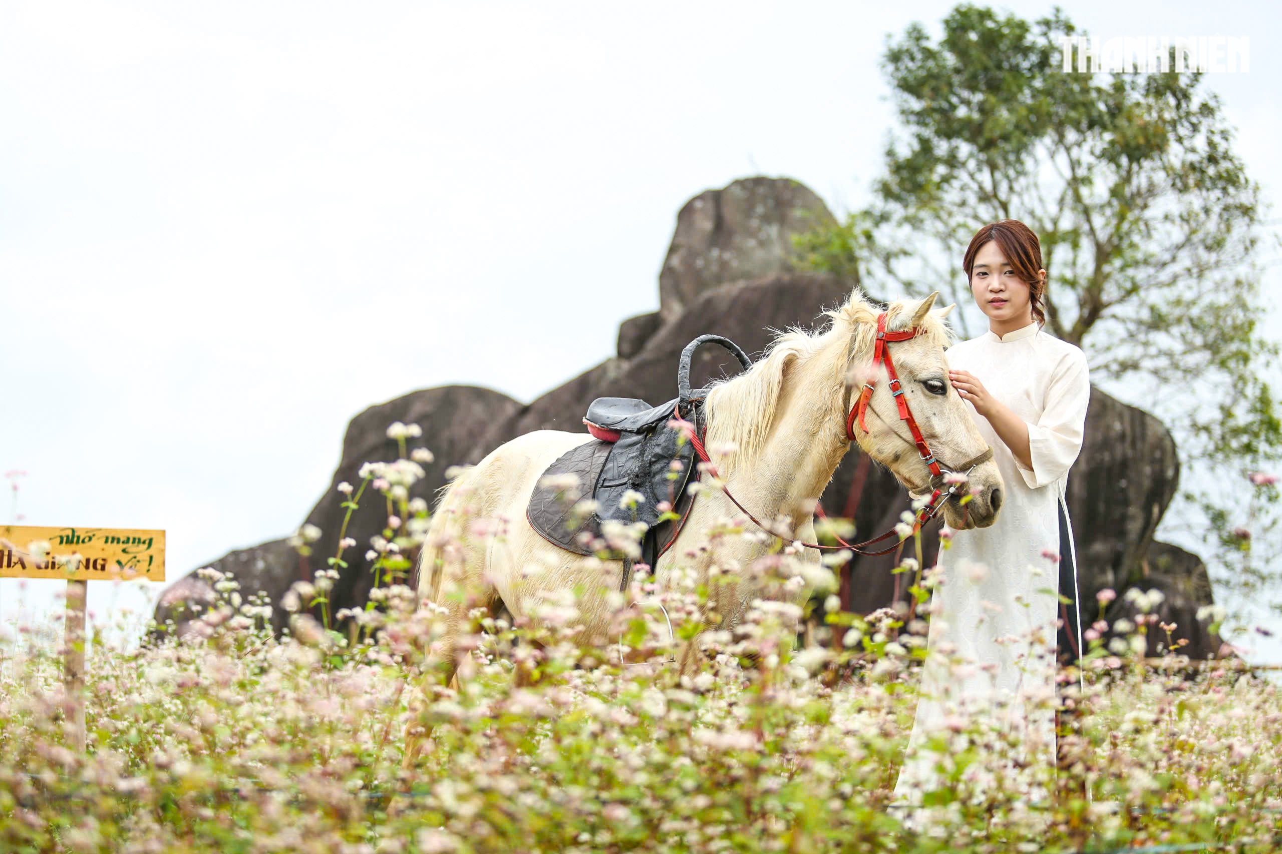 Một g&oacute;c H&agrave; Giang giữa l&ograve;ng Quảng Ng&atilde;i- Ảnh 3.