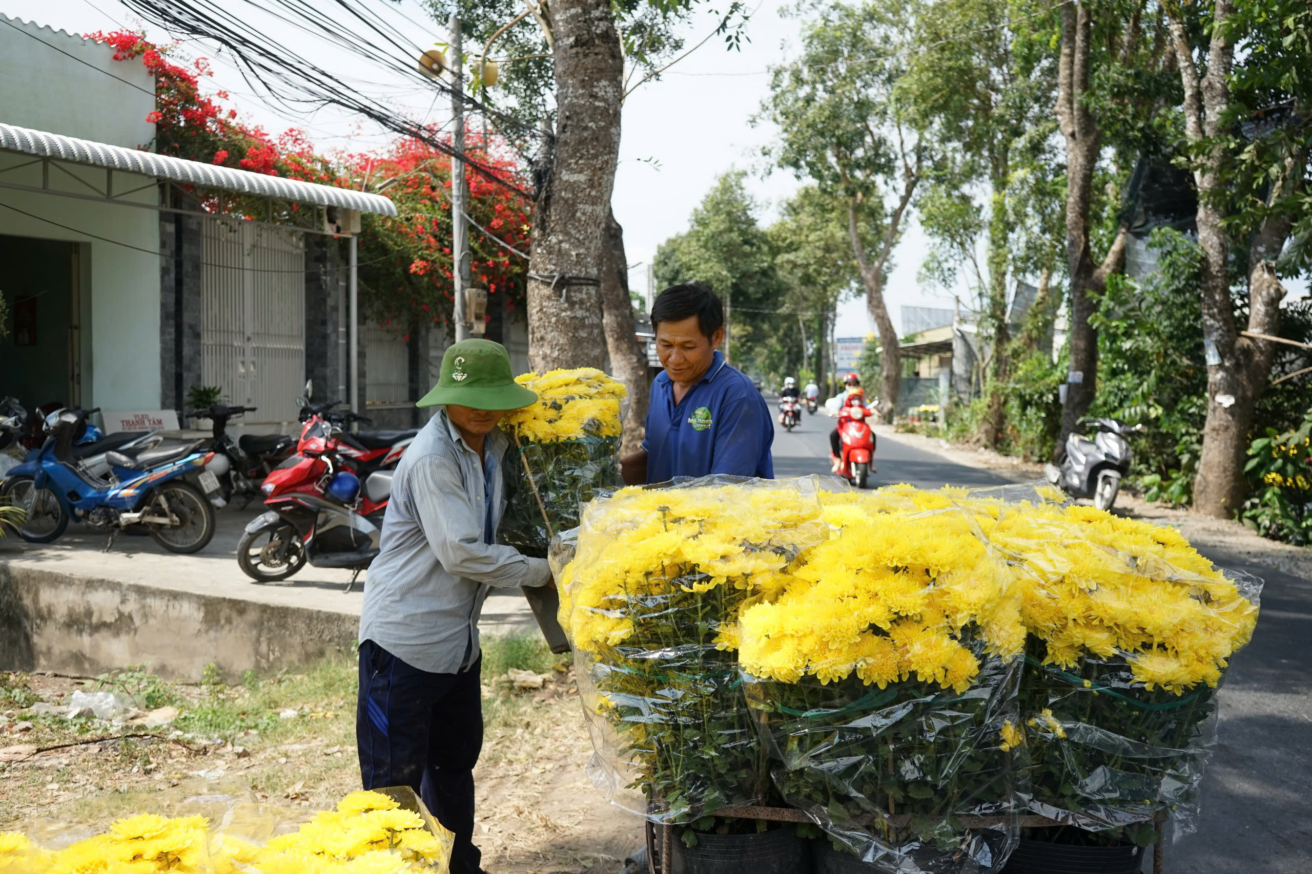 Hoa tết xuống phố - Ảnh 3.