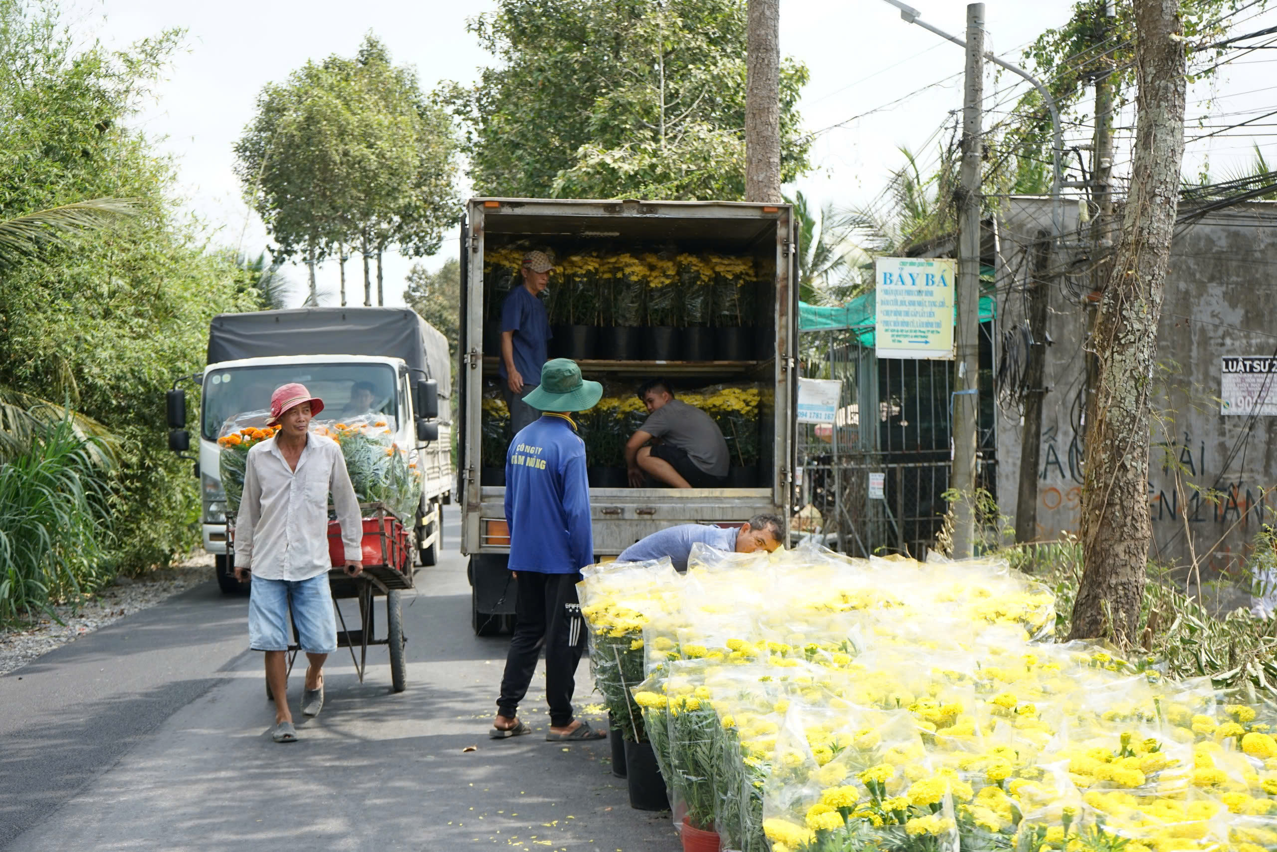 Hoa tết xuống phố - Ảnh 4.