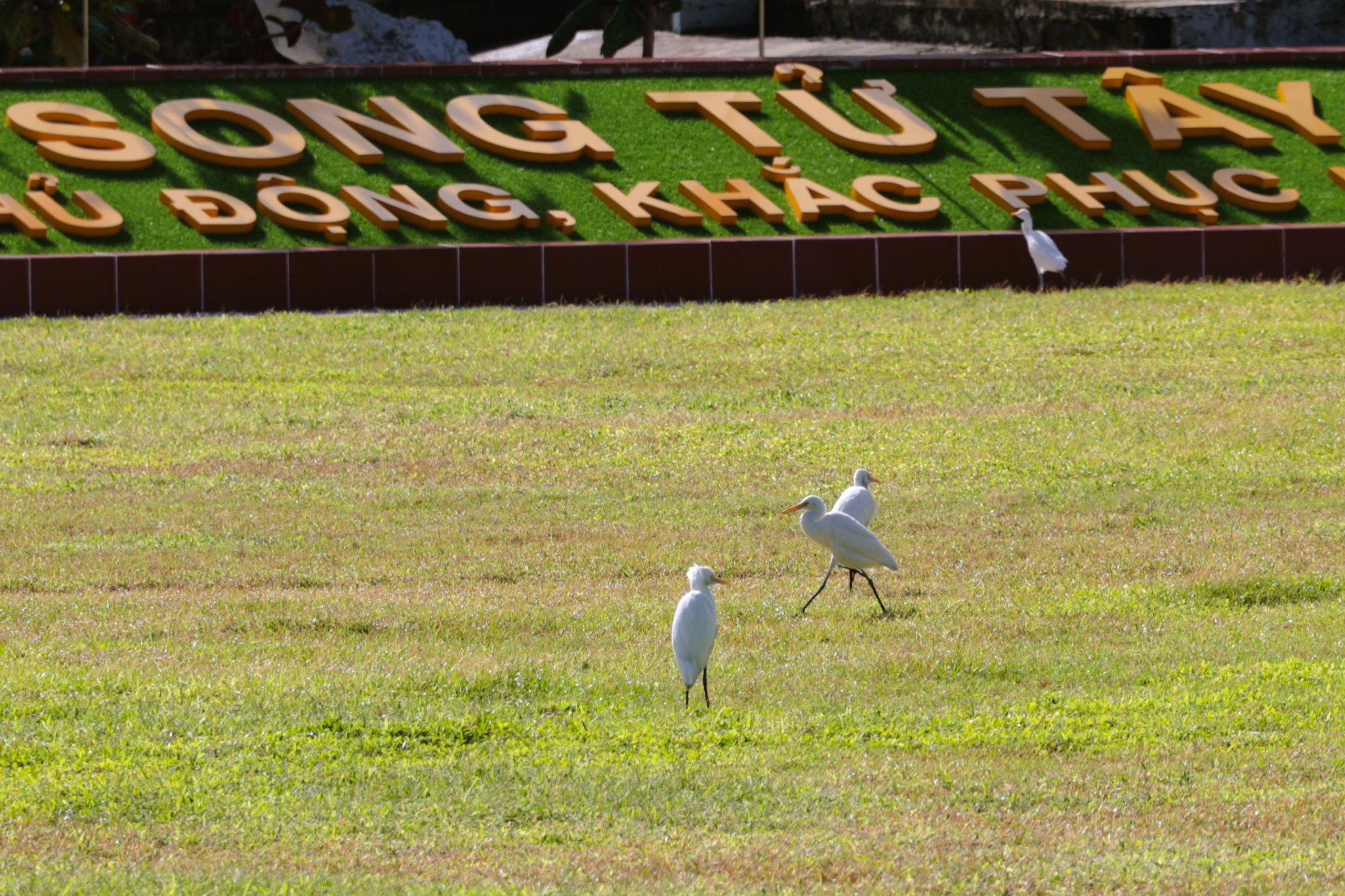 Tết ở Trường Sa - Kỳ 5: Sóng gió Song Tử Tây- Ảnh 6. Tết ở Trường Sa - Kỳ 5: Sóng gió Song Tử Tây- Ảnh 6.