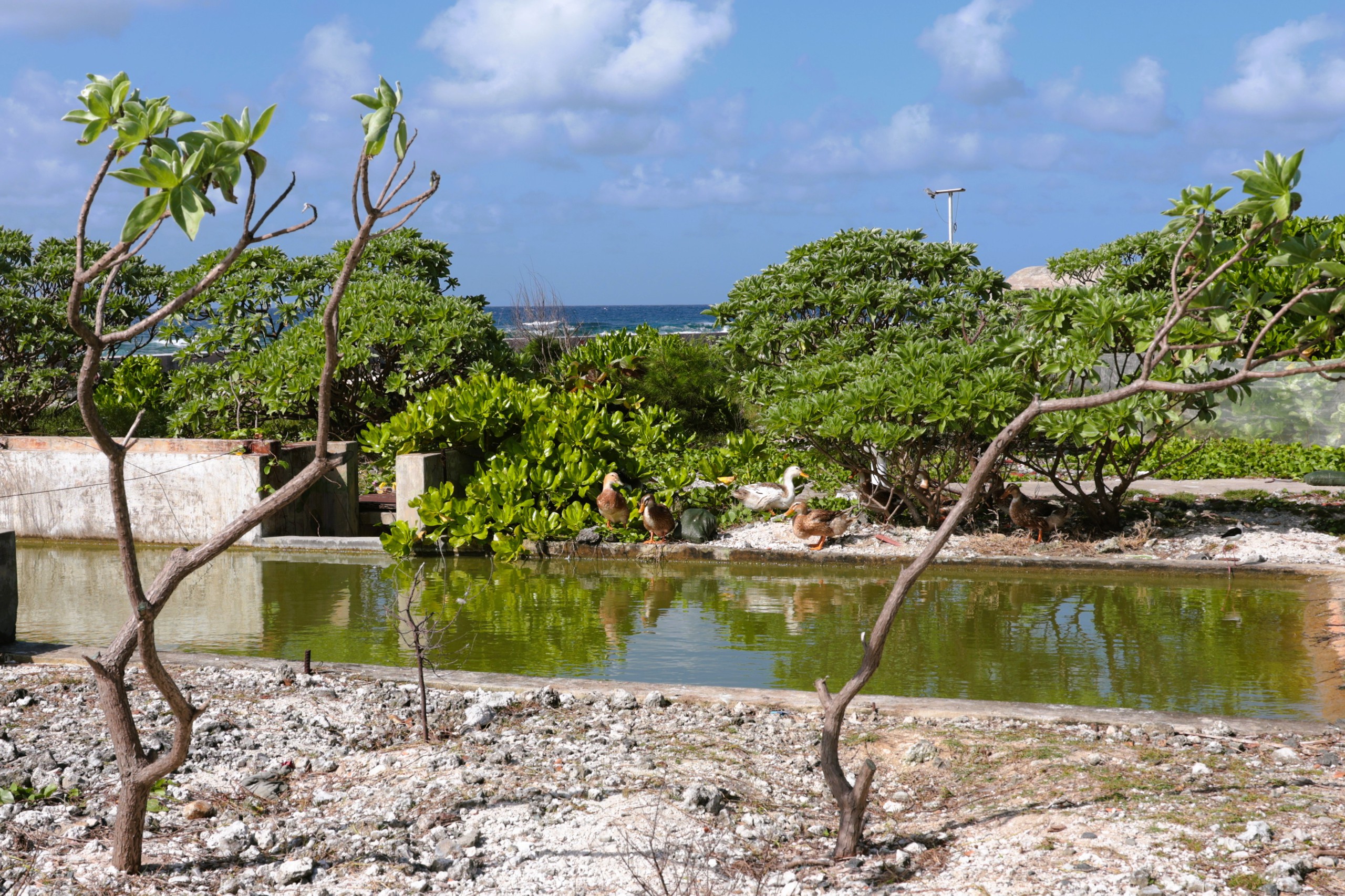 Tết ở Trường Sa - Kỳ 5: Sóng gió Song Tử Tây- Ảnh 7. Tết ở Trường Sa - Kỳ 5: Sóng gió Song Tử Tây- Ảnh 7.