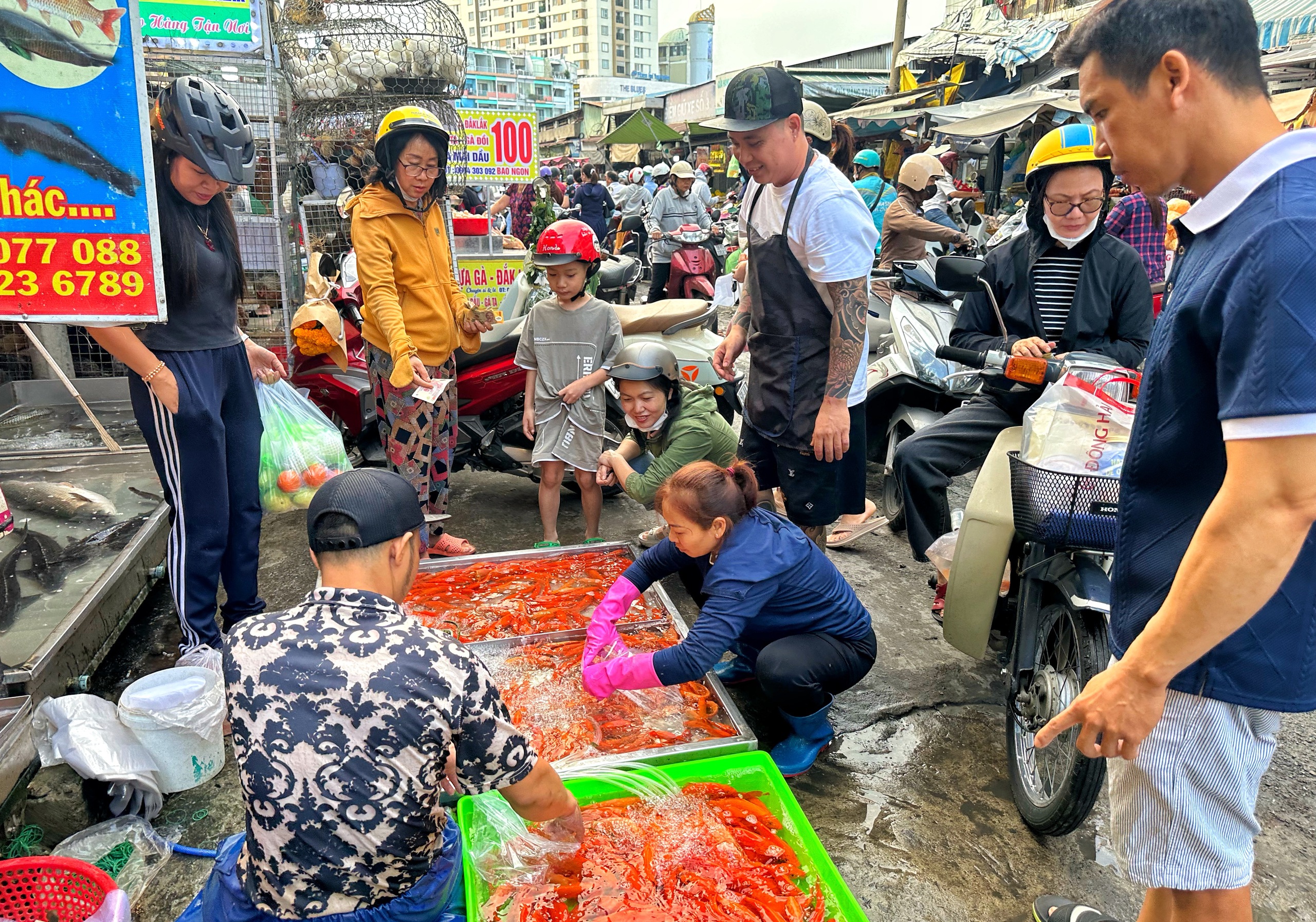 Mua c&aacute; ch&eacute;p c&uacute;ng &ocirc;ng T&aacute;o 23 th&aacute;ng chạp: Bất ngờ chợ Phạm Văn Hai ở TP.HCM - Ảnh 1.