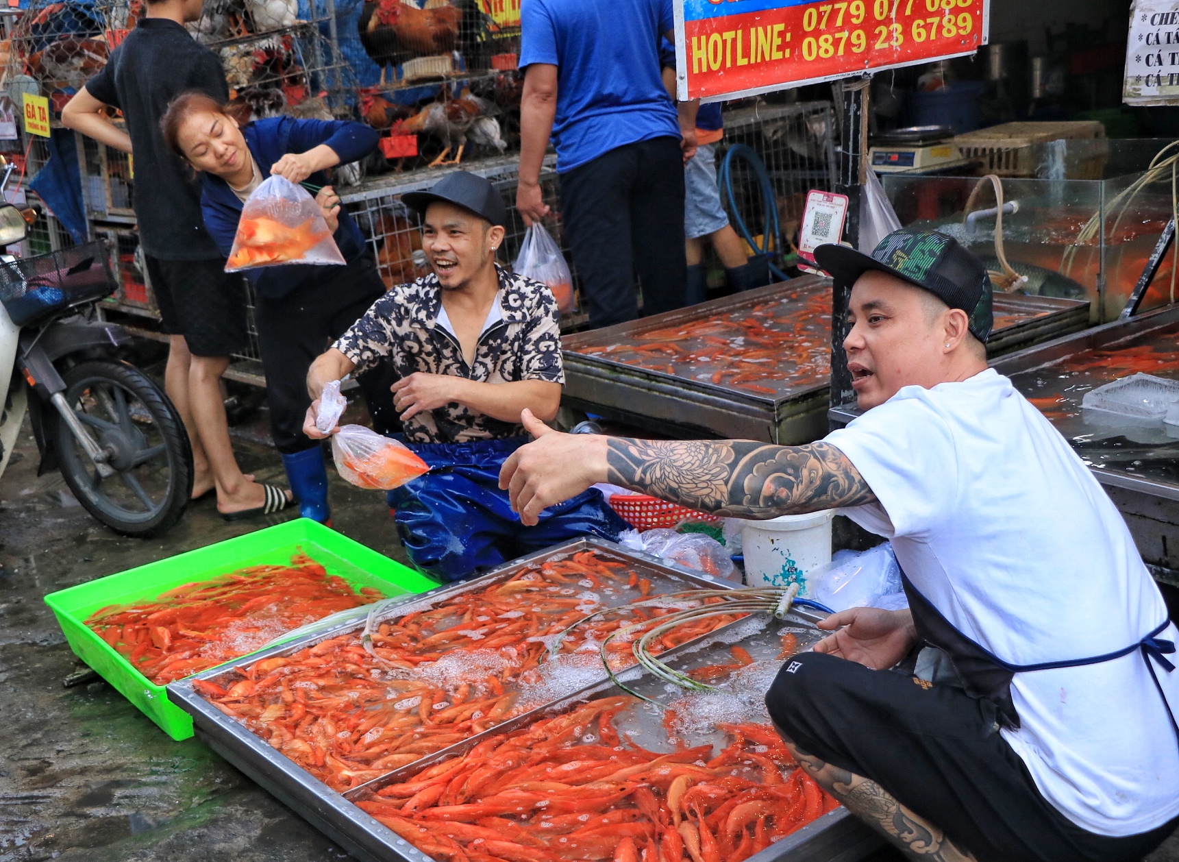 Mua c&aacute; ch&eacute;p c&uacute;ng &ocirc;ng T&aacute;o 23 th&aacute;ng chạp: Bất ngờ chợ Phạm Văn Hai ở TP.HCM - Ảnh 7.