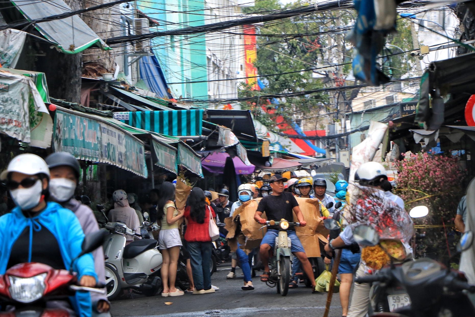 Chợ hoa lớn nhất TP.HCM chiều 23 th&aacute;ng chạp: C&uacute;c vạn thọ 'xả h&agrave;ng', đại hạ gi&aacute; - Ảnh 2.