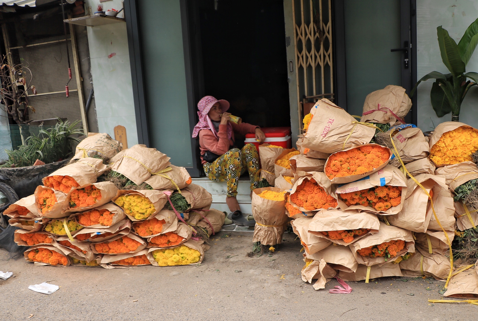 Chợ hoa lớn nhất TP.HCM chiều 23 th&aacute;ng chạp: C&uacute;c vạn thọ 'xả h&agrave;ng', đại hạ gi&aacute; - Ảnh 7.