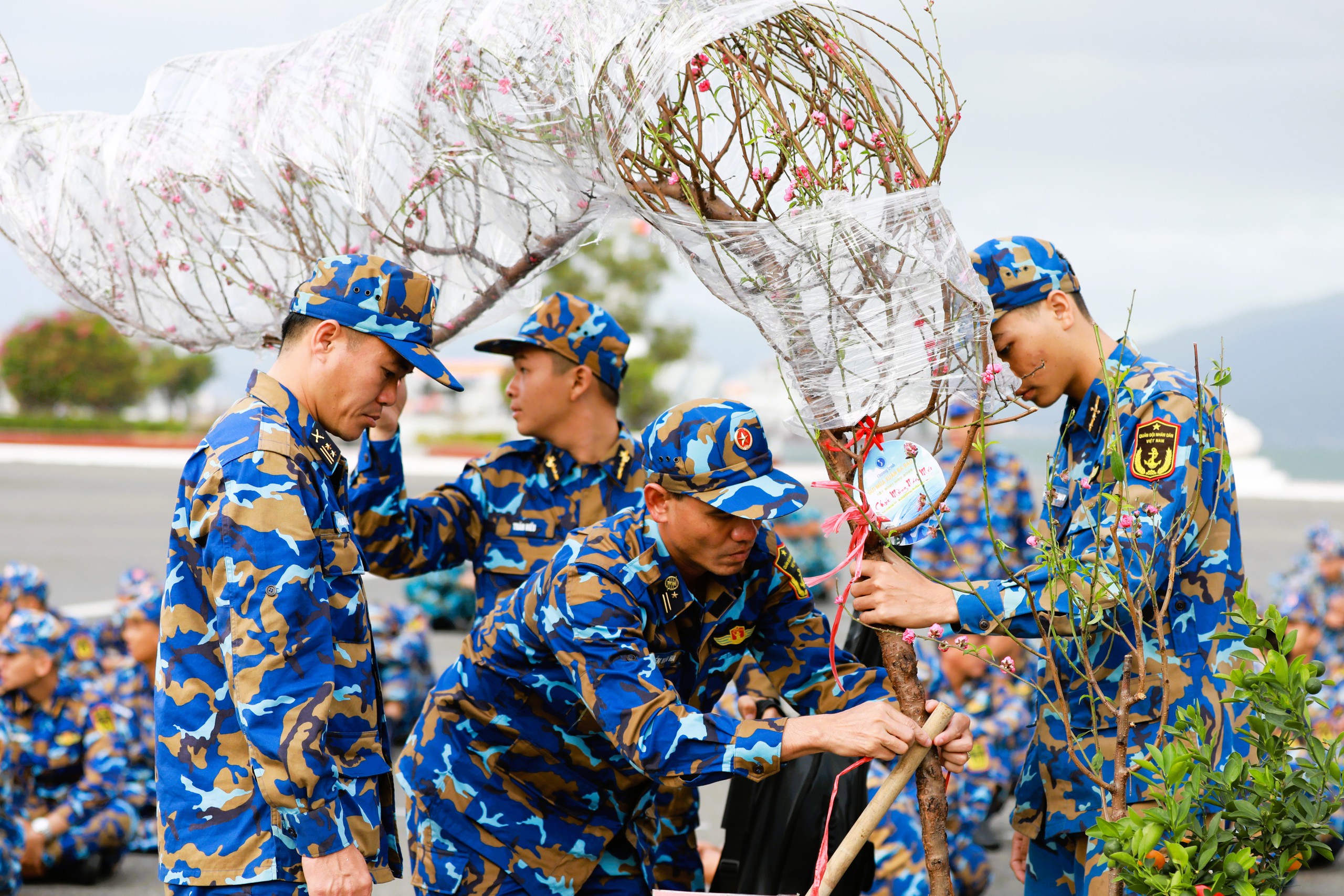 Tết ở Trường Sa - Kỳ 2: Đốm lửa Cam Ranh- Ảnh 3.