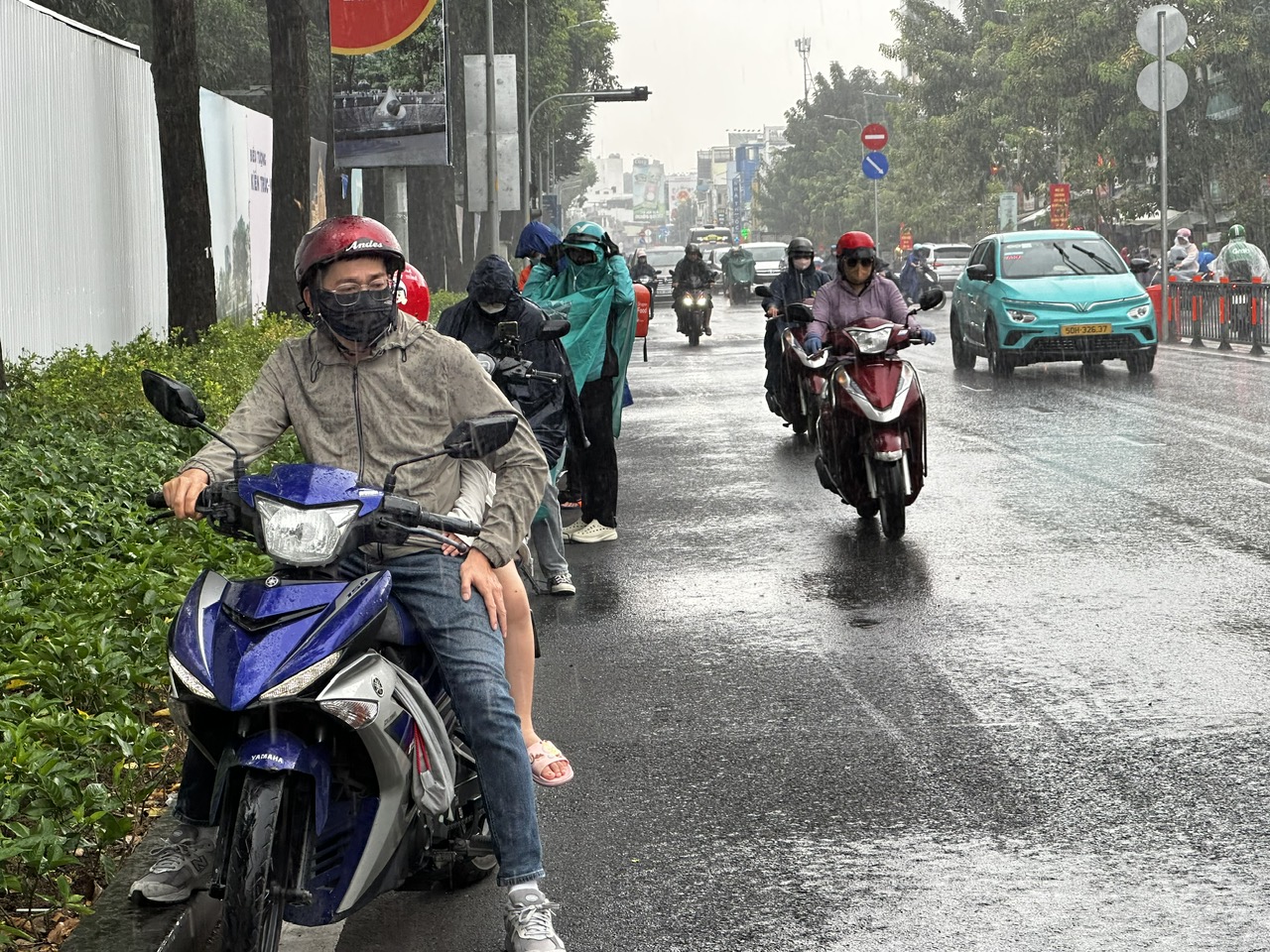 TP.HCM lại xuất hiện mưa trái mùa, nhà vườn bán hoa tết lo mất xuân  - Ảnh 9.