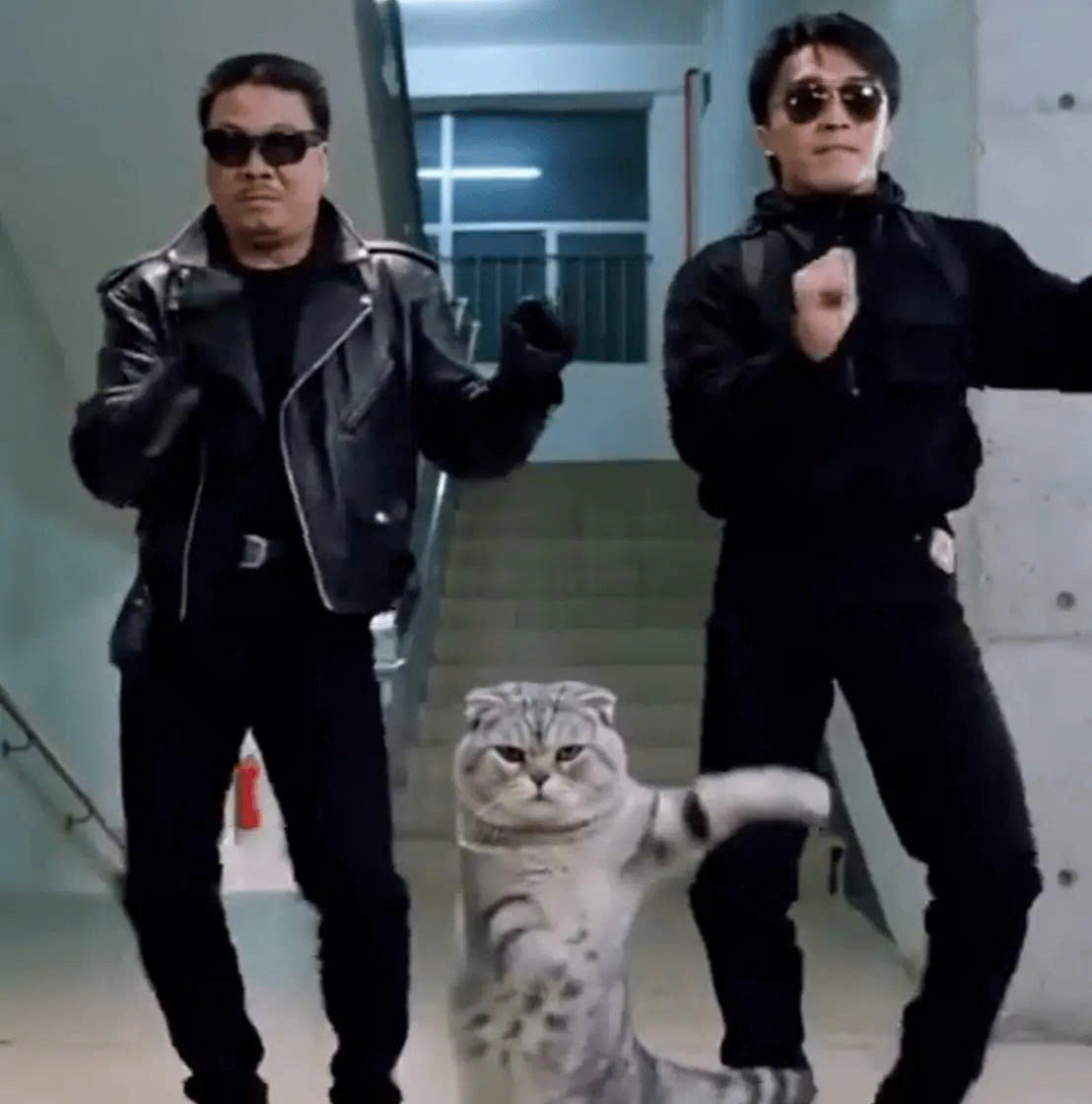 Châu Tinh Trì phẫn nộ vì bị AI 'ăn cắp' bản quyền - Ảnh 1.