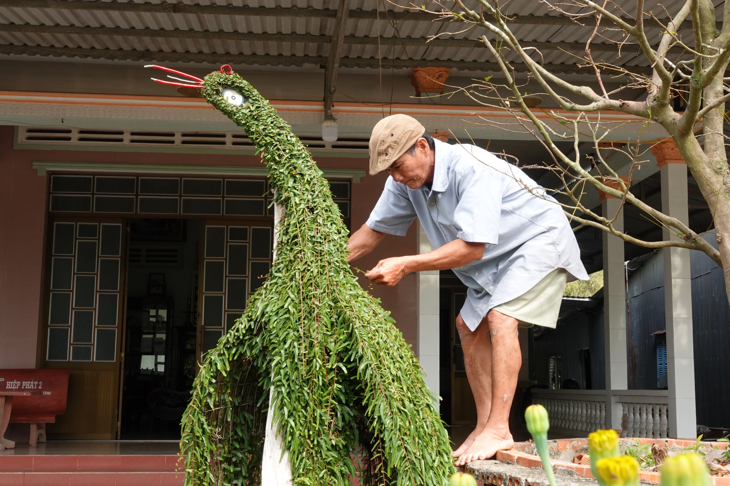 L&atilde;o n&ocirc;ng miền T&acirc;y uốn c&acirc;y thuốc nam th&agrave;nh kiểng th&uacute;, l&agrave;m đẹp s&acirc;n nh&agrave; ng&agrave;y tết - Ảnh 2.