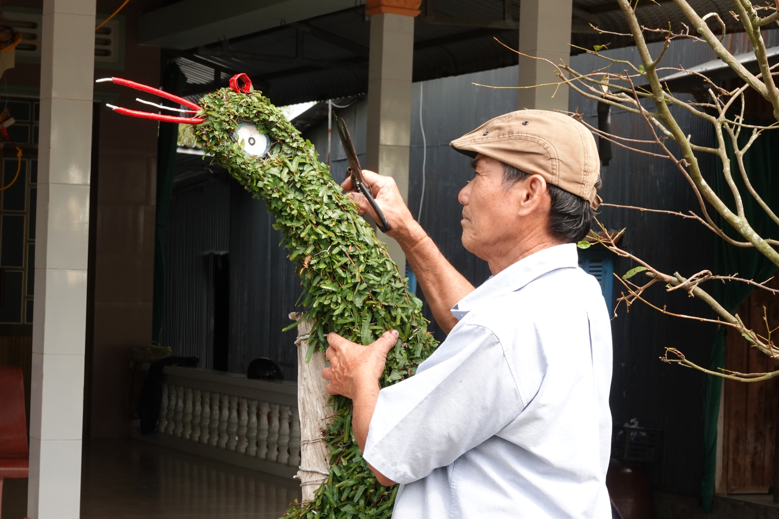 L&atilde;o n&ocirc;ng miền T&acirc;y uốn c&acirc;y thuốc nam th&agrave;nh kiểng th&uacute;, l&agrave;m đẹp s&acirc;n nh&agrave; ng&agrave;y tết - Ảnh 3.