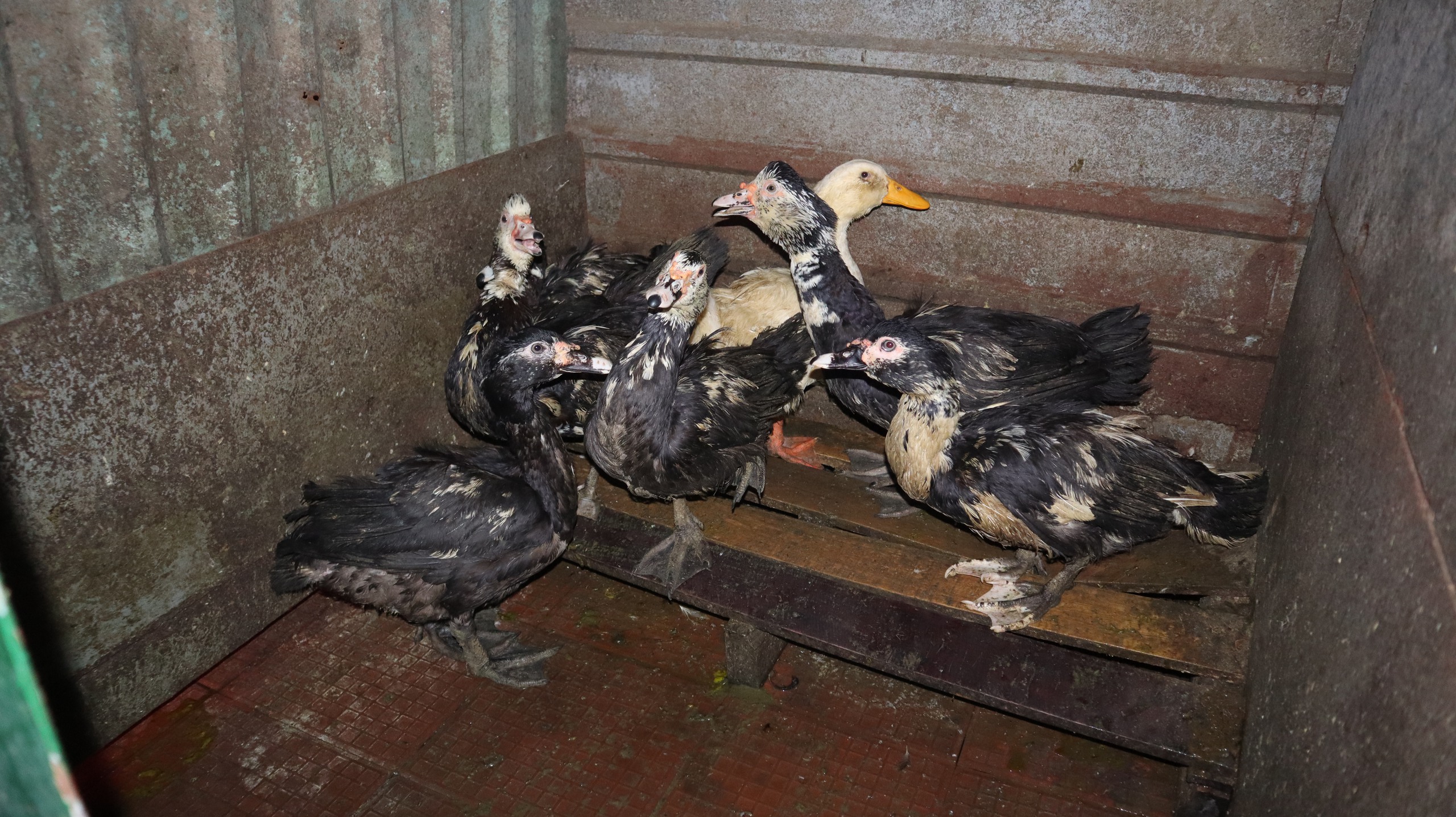 Tết của những 'cột mốc sống' trên biển, mãi vì chủ quyền Tổ quốc thiêng liêng- Ảnh 22.