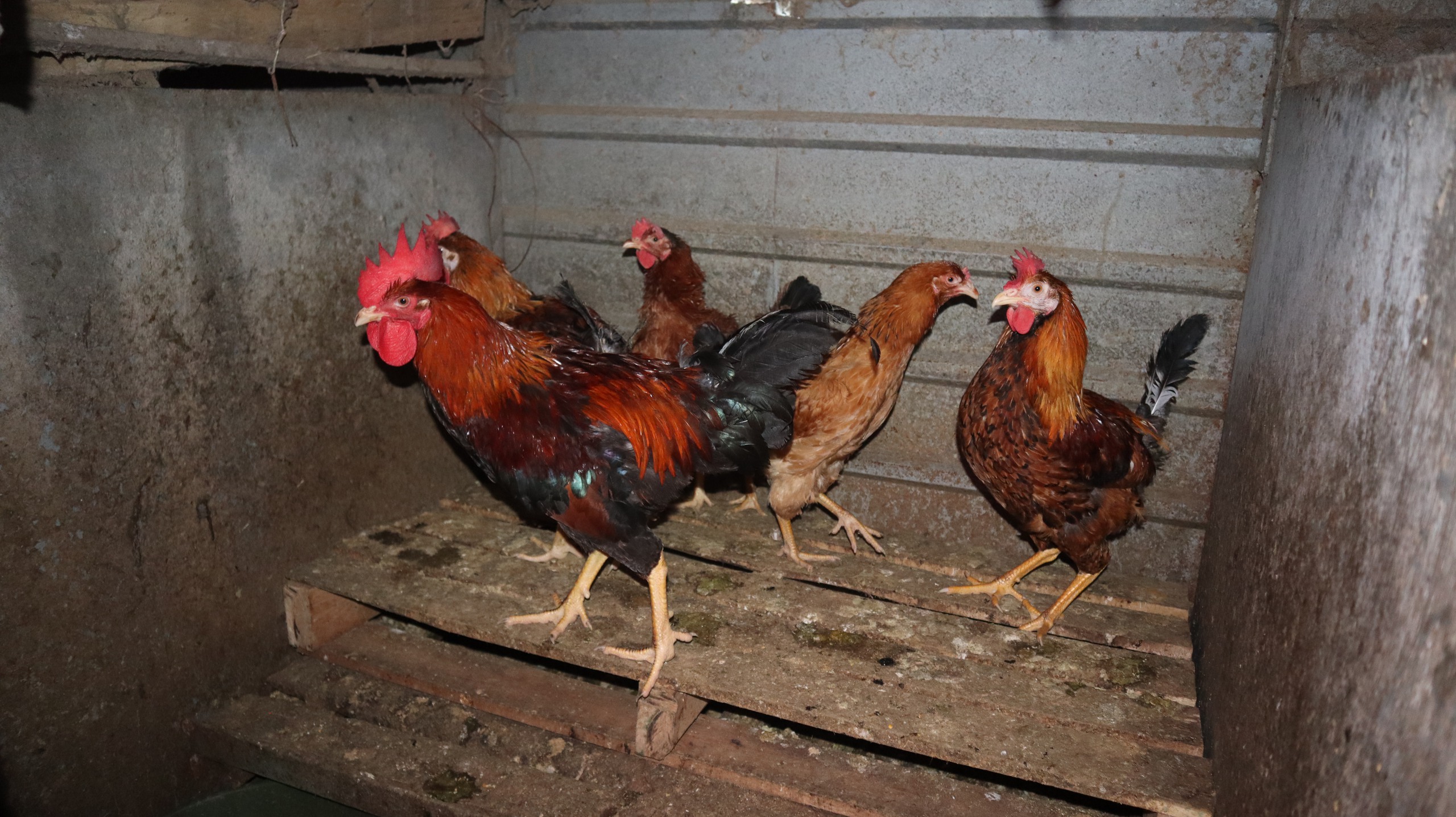 Tết của những 'cột mốc sống' trên biển, mãi vì chủ quyền Tổ quốc thiêng liêng- Ảnh 25.