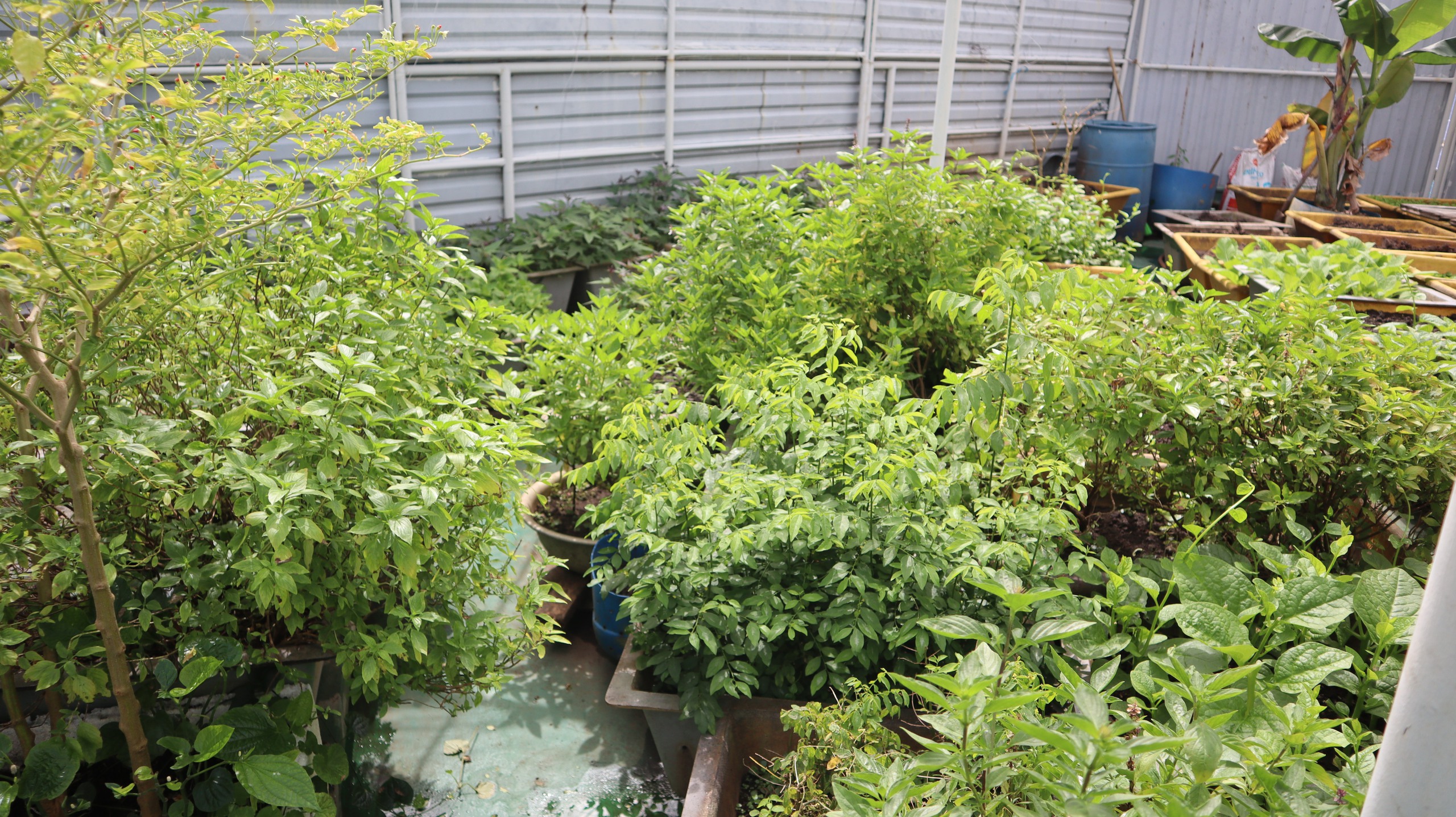 Tết của những 'cột mốc sống' trên biển, mãi vì chủ quyền Tổ quốc thiêng liêng- Ảnh 28.