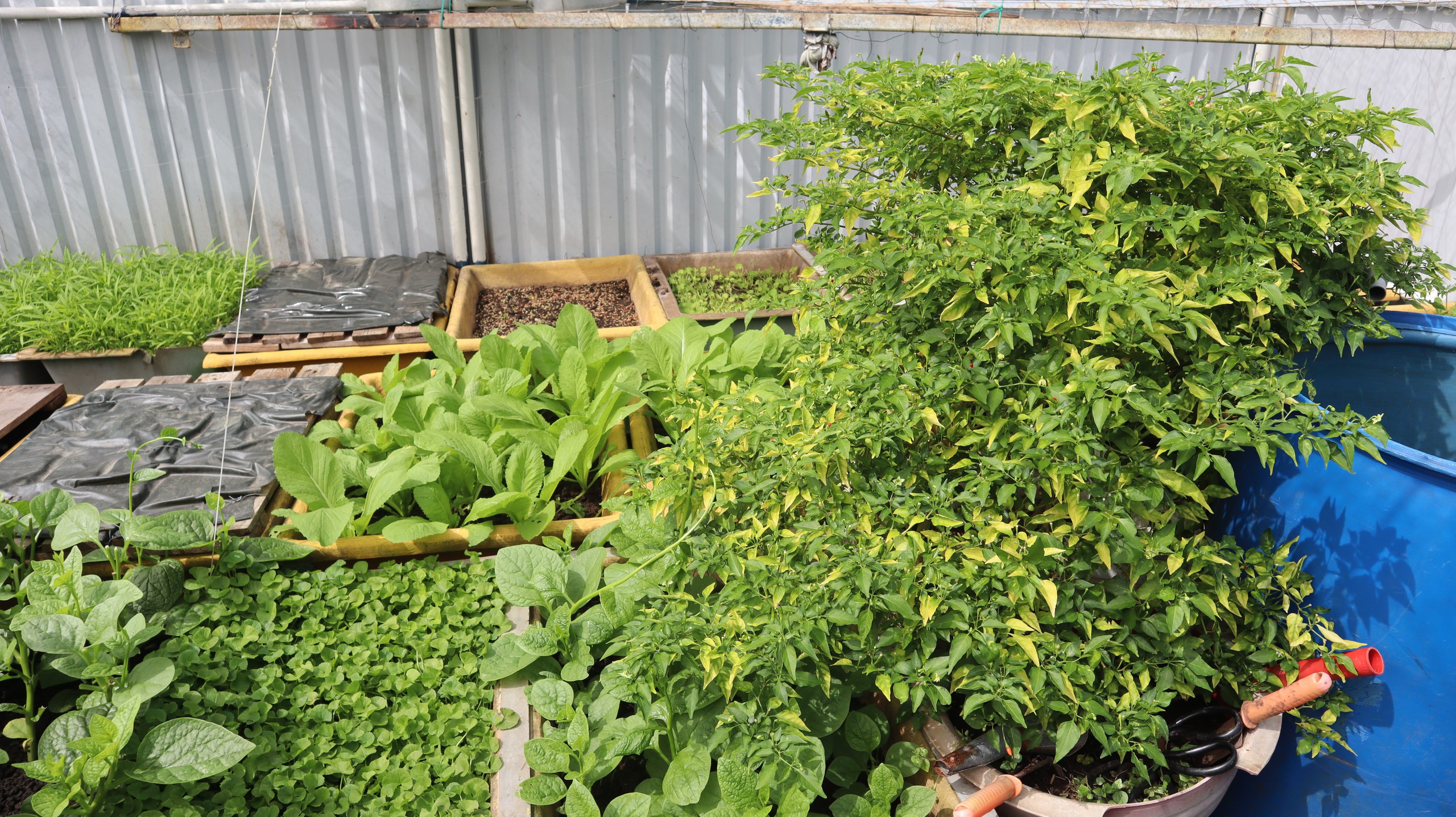 Tết của những 'cột mốc sống' trên biển, mãi vì chủ quyền Tổ quốc thiêng liêng- Ảnh 29.