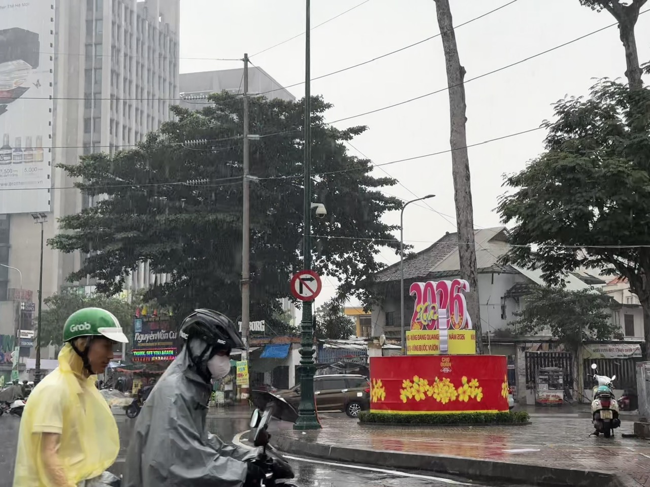 TP.HCM lại xuất hiện mưa trái mùa, nhà vườn bán hoa tết lo mất xuân  - Ảnh 7.