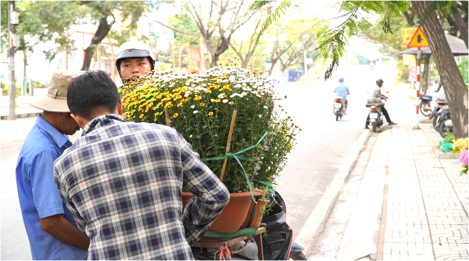 Sạp hoa tết b&aacute;n hơn 500 chậu/ng&agrave;y: Nguồn h&agrave;ng từ đ&acirc;u, b&aacute;n thế n&agrave;o - Ảnh 3.