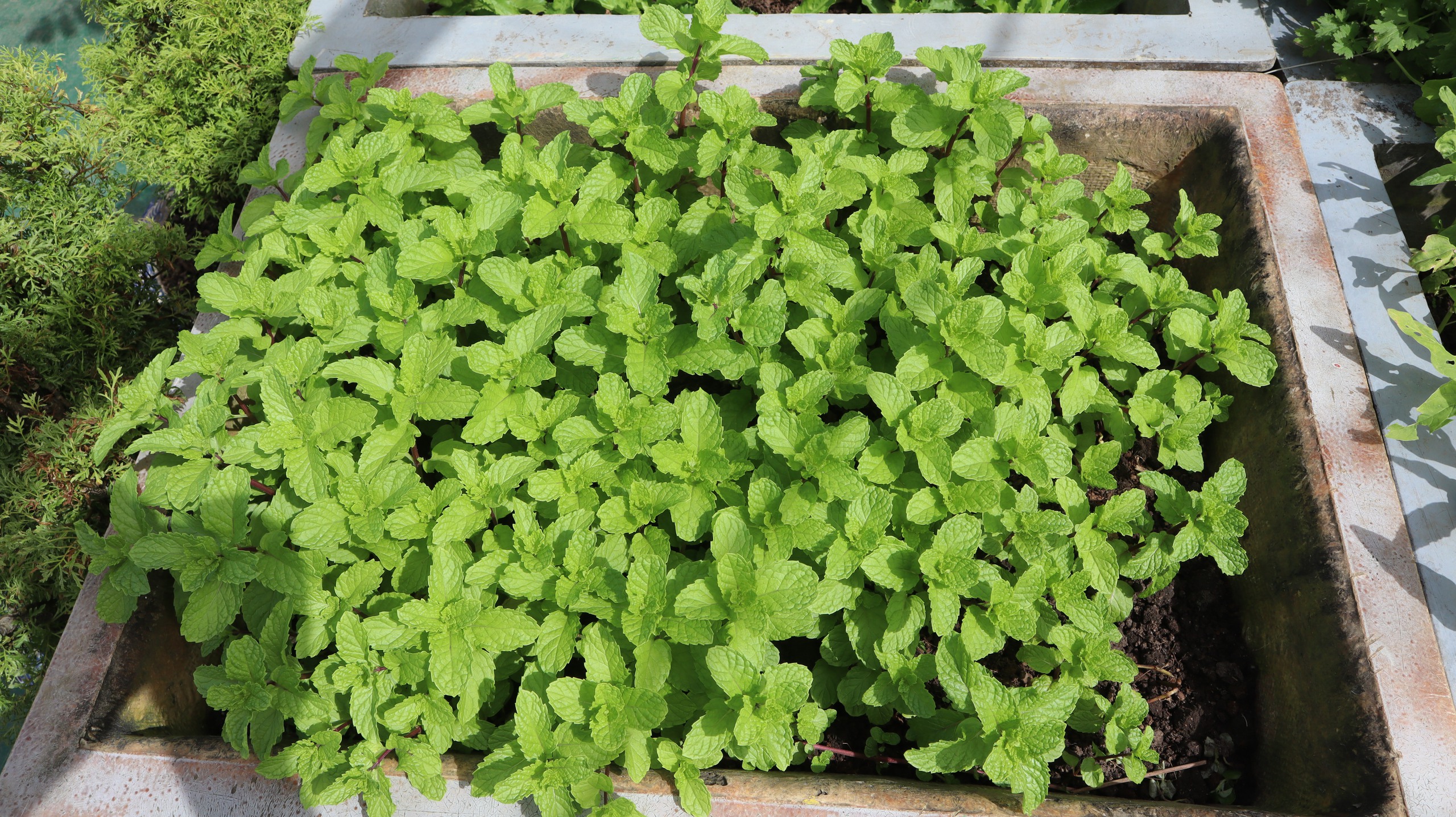 Tết của những 'cột mốc sống' trên biển, mãi vì chủ quyền Tổ quốc thiêng liêng- Ảnh 13.