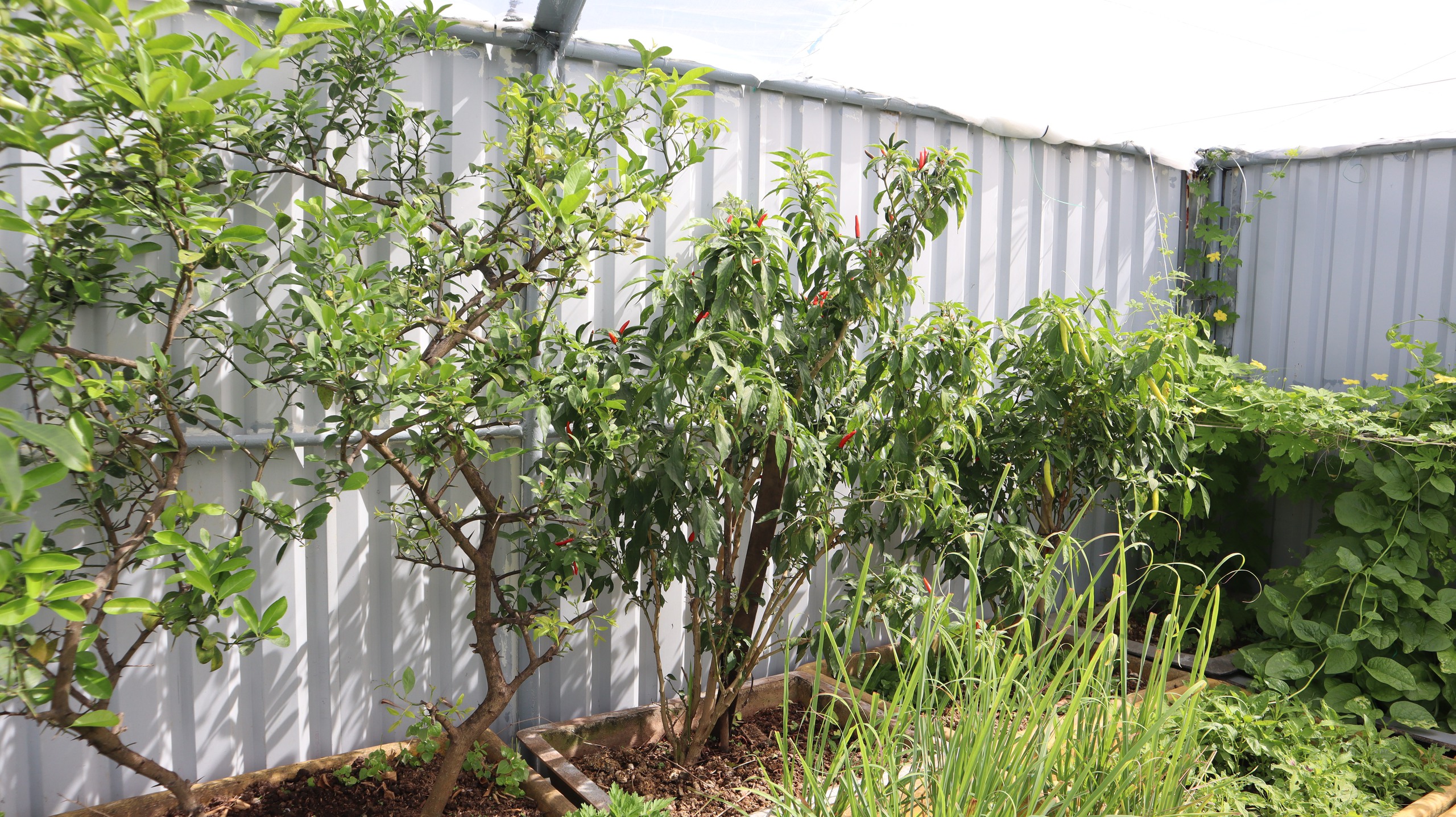 Tết của những 'cột mốc sống' trên biển, mãi vì chủ quyền Tổ quốc thiêng liêng- Ảnh 17.