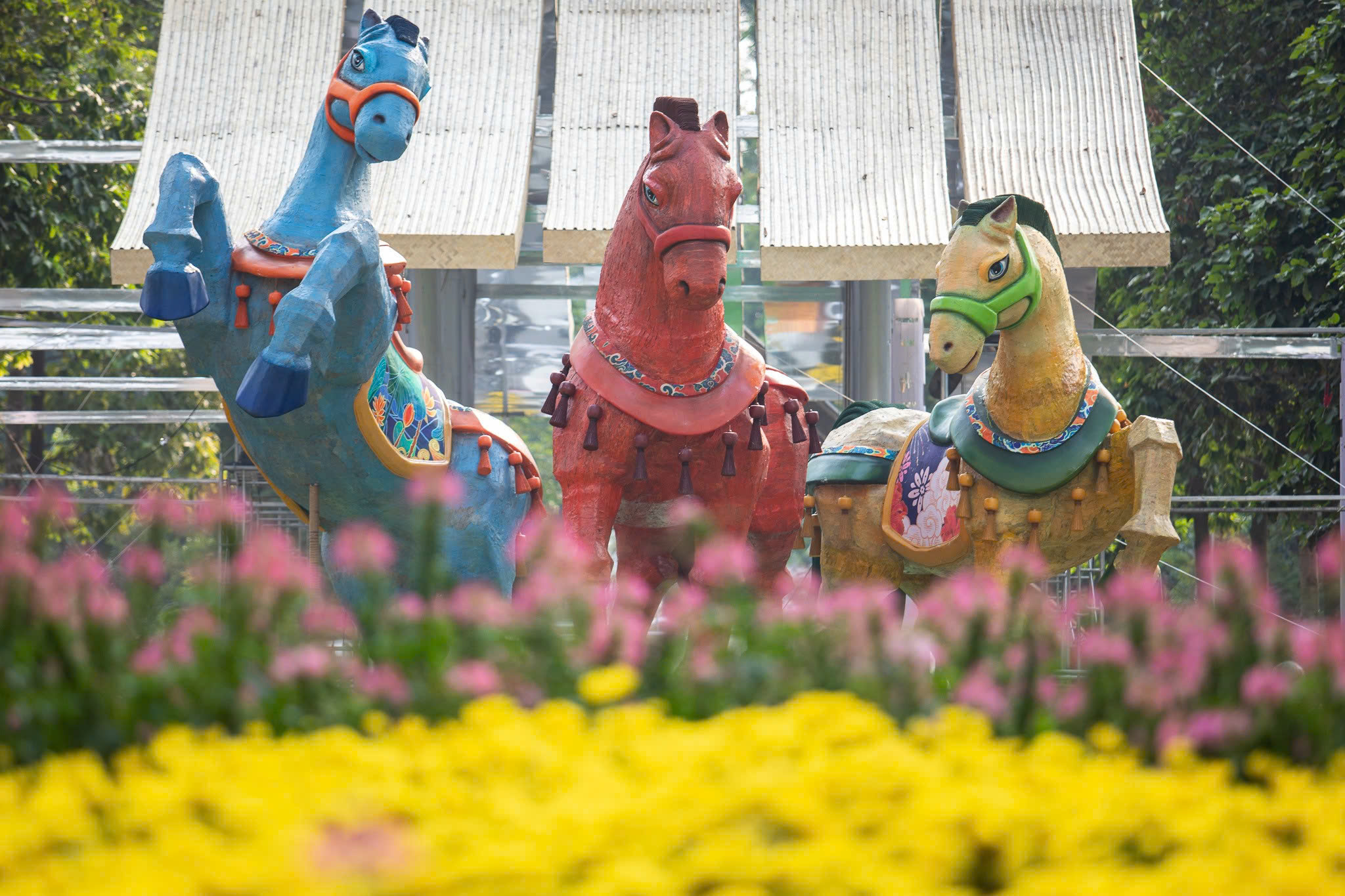 Lần đầu hội hoa xu&acirc;n TP.HCM c&oacute; diễu h&agrave;nh, tr&igrave;nh diễn ngựa quốc tế ở Tao Đ&agrave;n - Ảnh 3.