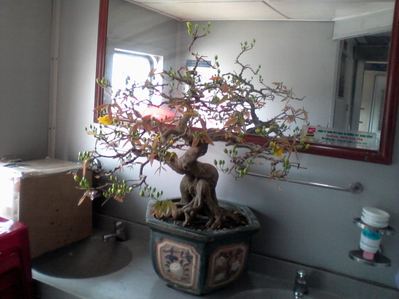 Tr&ecirc;n những chuyến t&agrave;u chở m&ugrave;a xu&acirc;n dịp cuối năm - Ảnh 4.